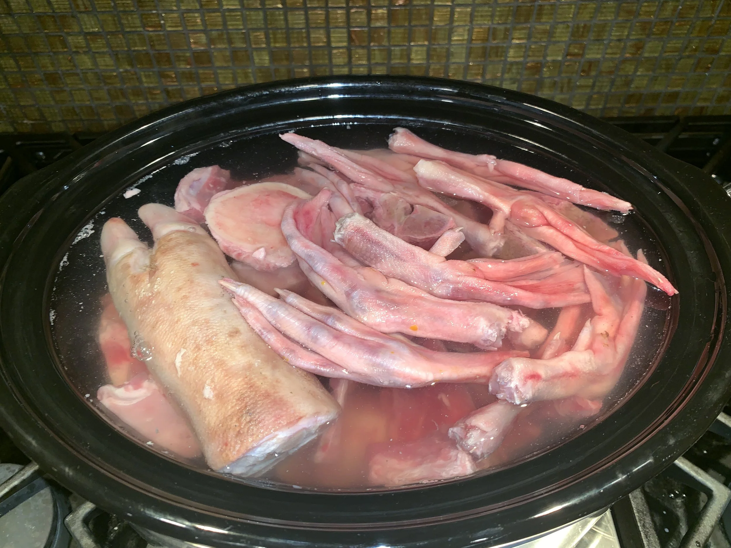 The Many Benefits of Bone Broth for Dogs