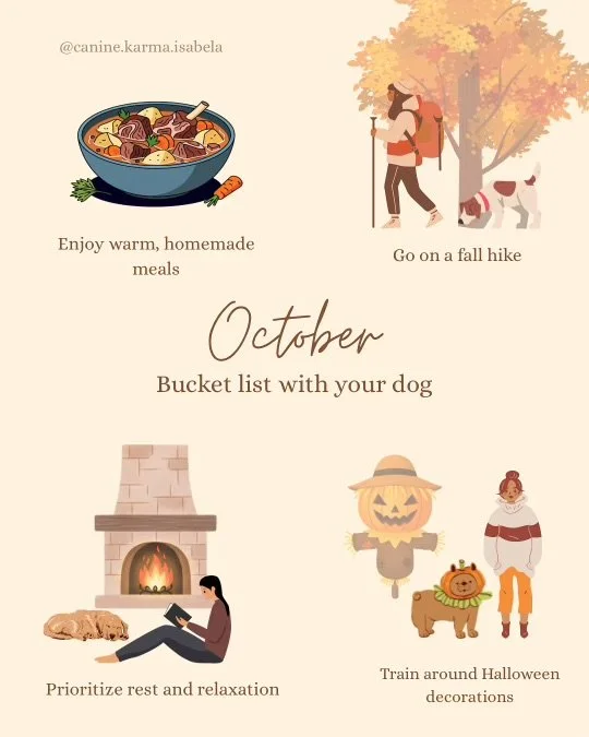 October Bucket List with Your Dog