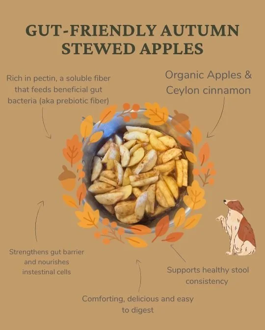 Stewed Apples with Ceylon Cinnamon for Dogs - A Cozy Fall Treat for Your Dog