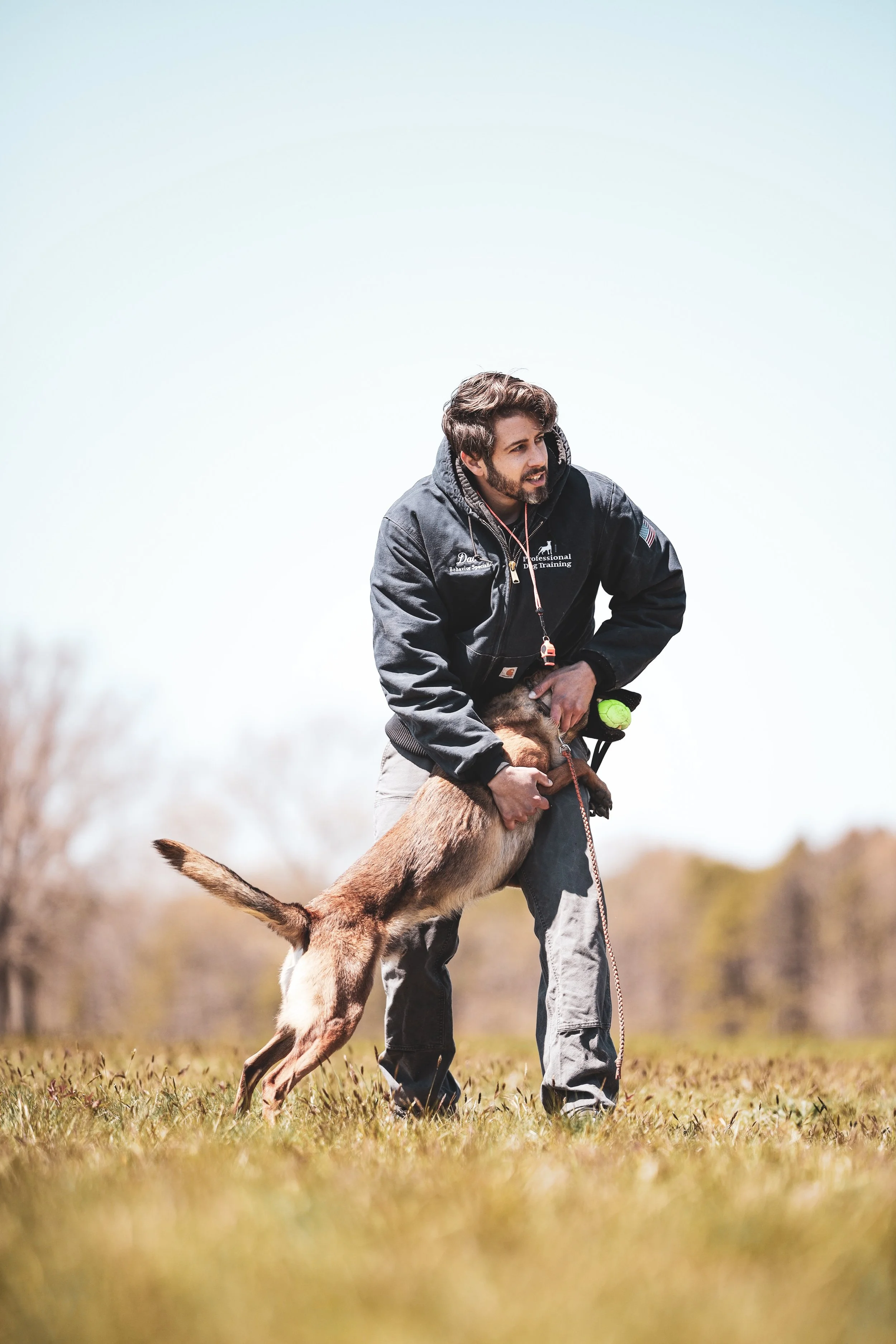 Three Myths About Dog Training