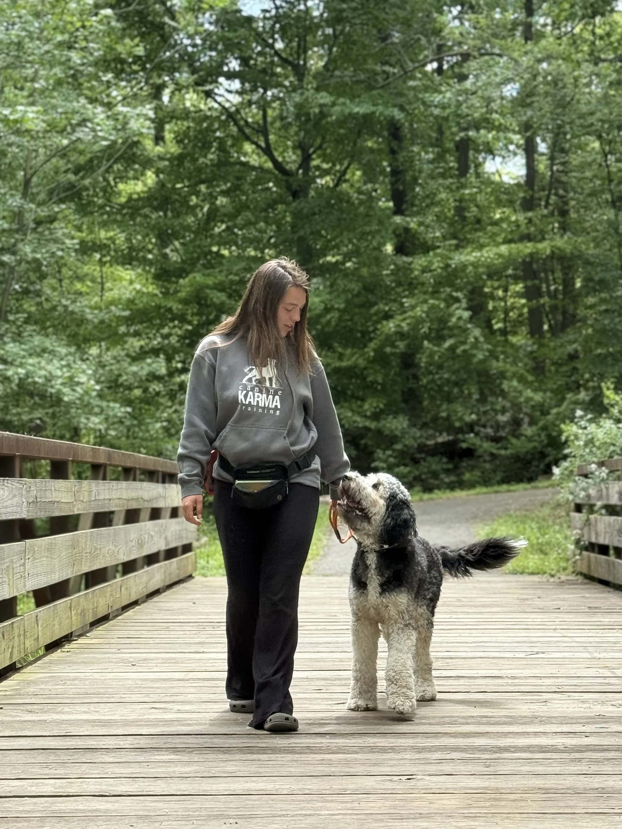 A woman with a gray sweatshirt and black pants walking on a wooden bridge with a large, fluffy black and white dog, surrounded by green trees.