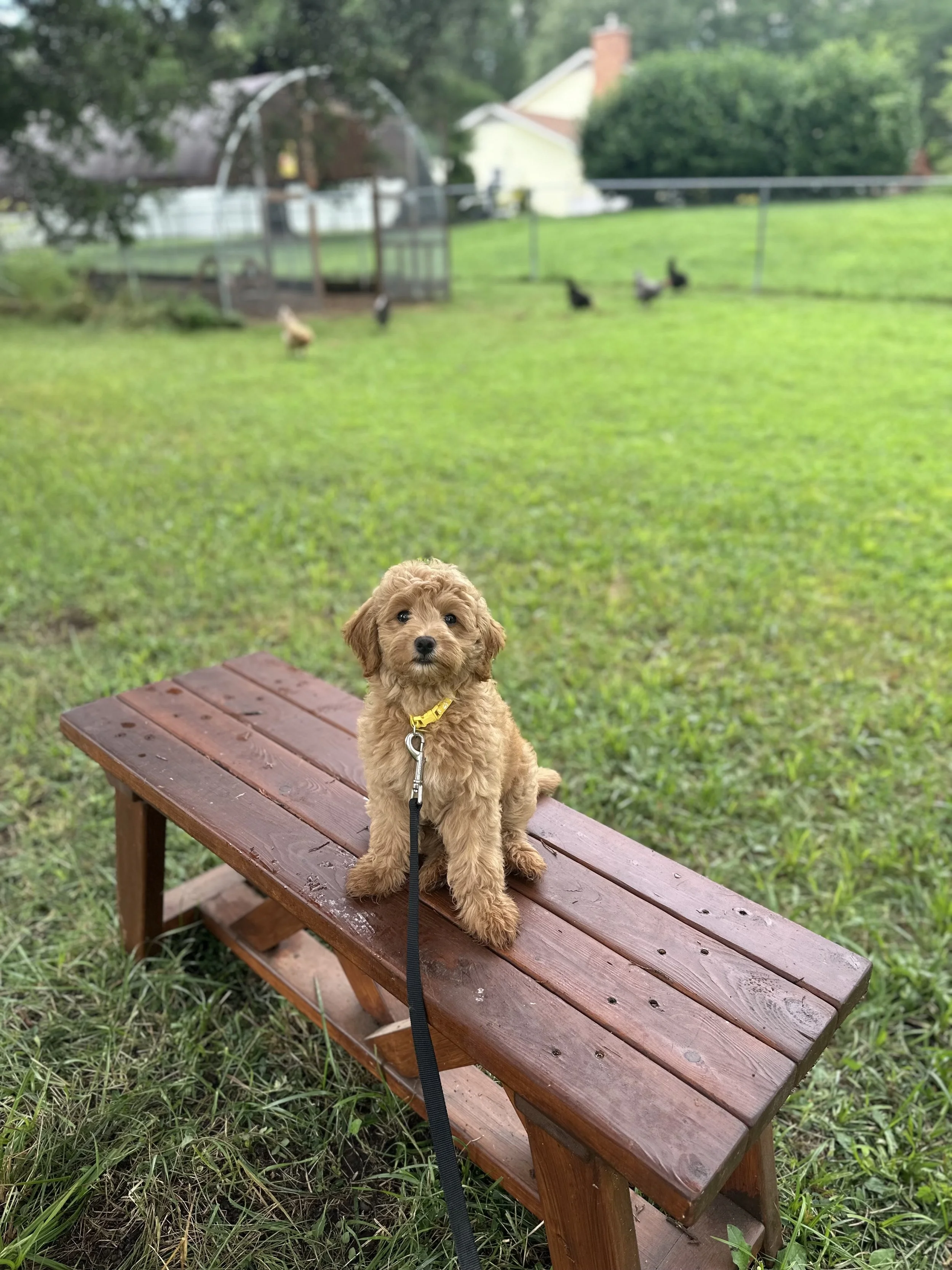 IMG_1844.jpeg