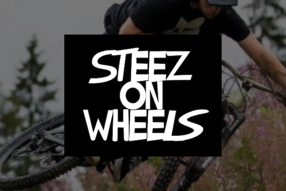 Steez on Wheels Custom Secondhand premium Gravity bikes