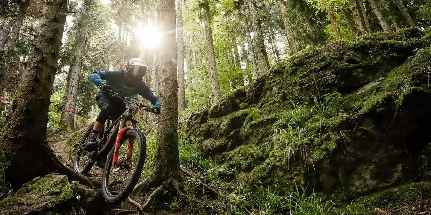 Een mountainbiker rijdt door een bos met groene bomen en mos bedekte rotsen, met de zon die door de bomen schijnt.
