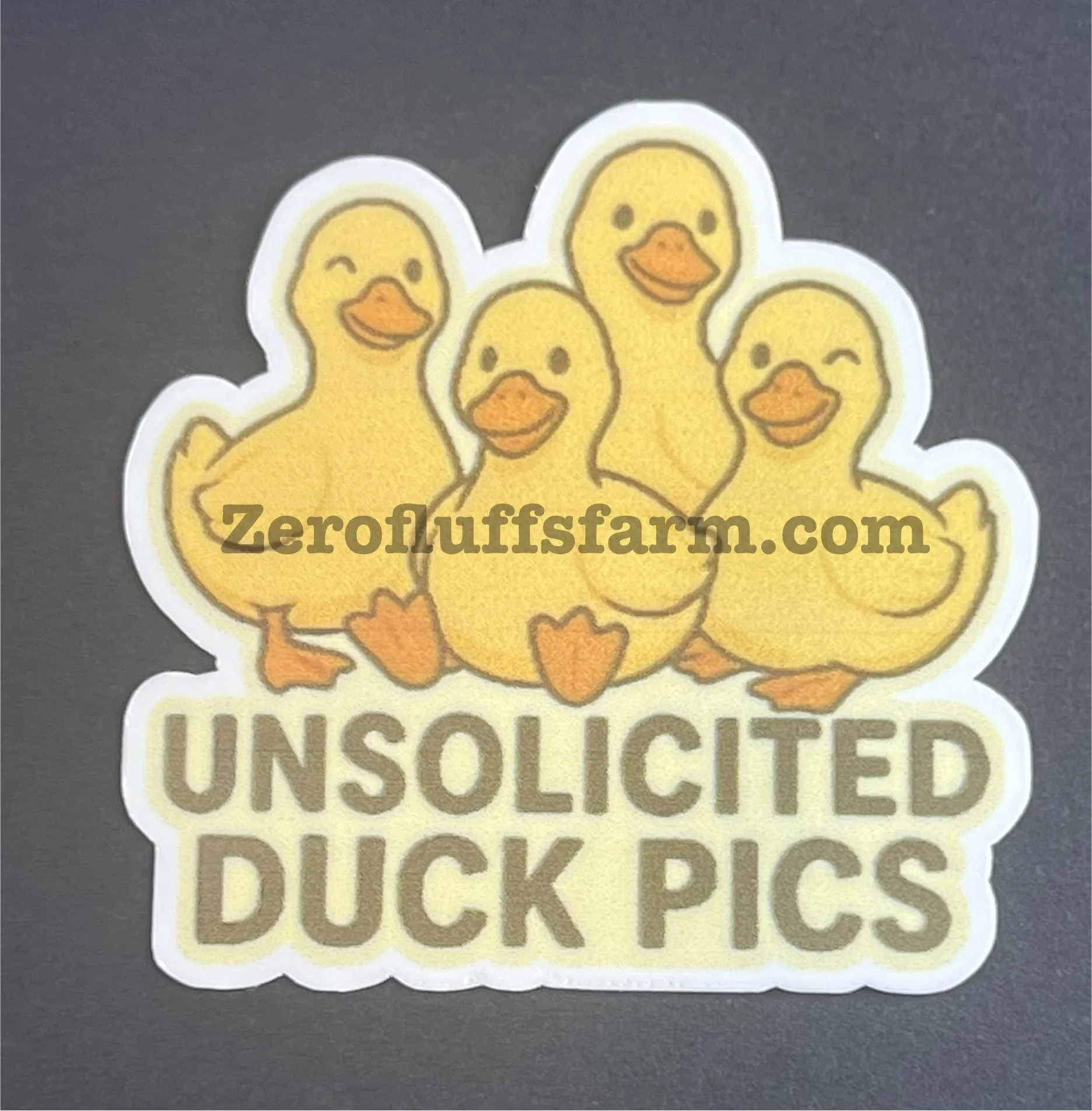 Unsolicited Duck Pics