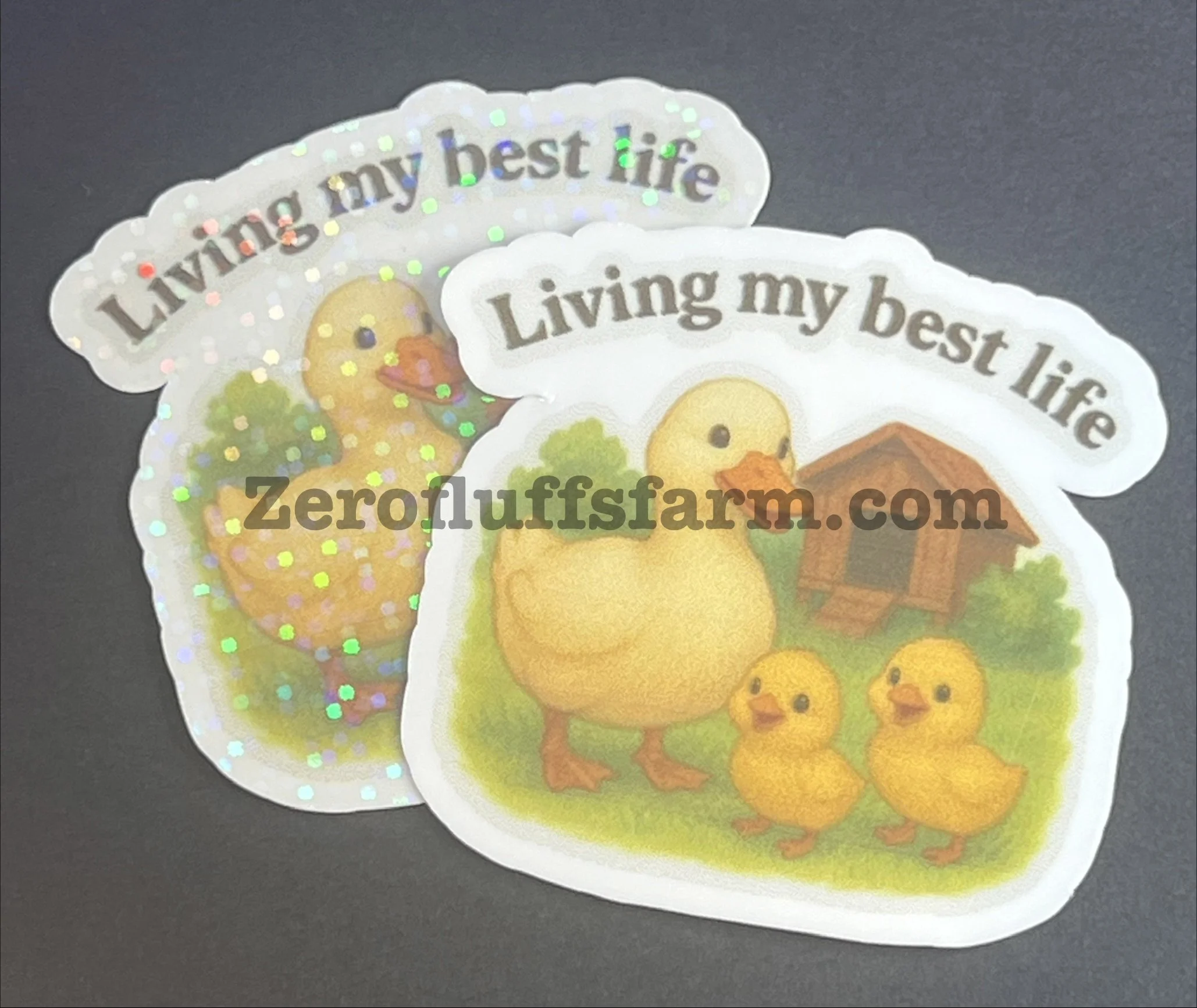 Living My Best Life-Ducks