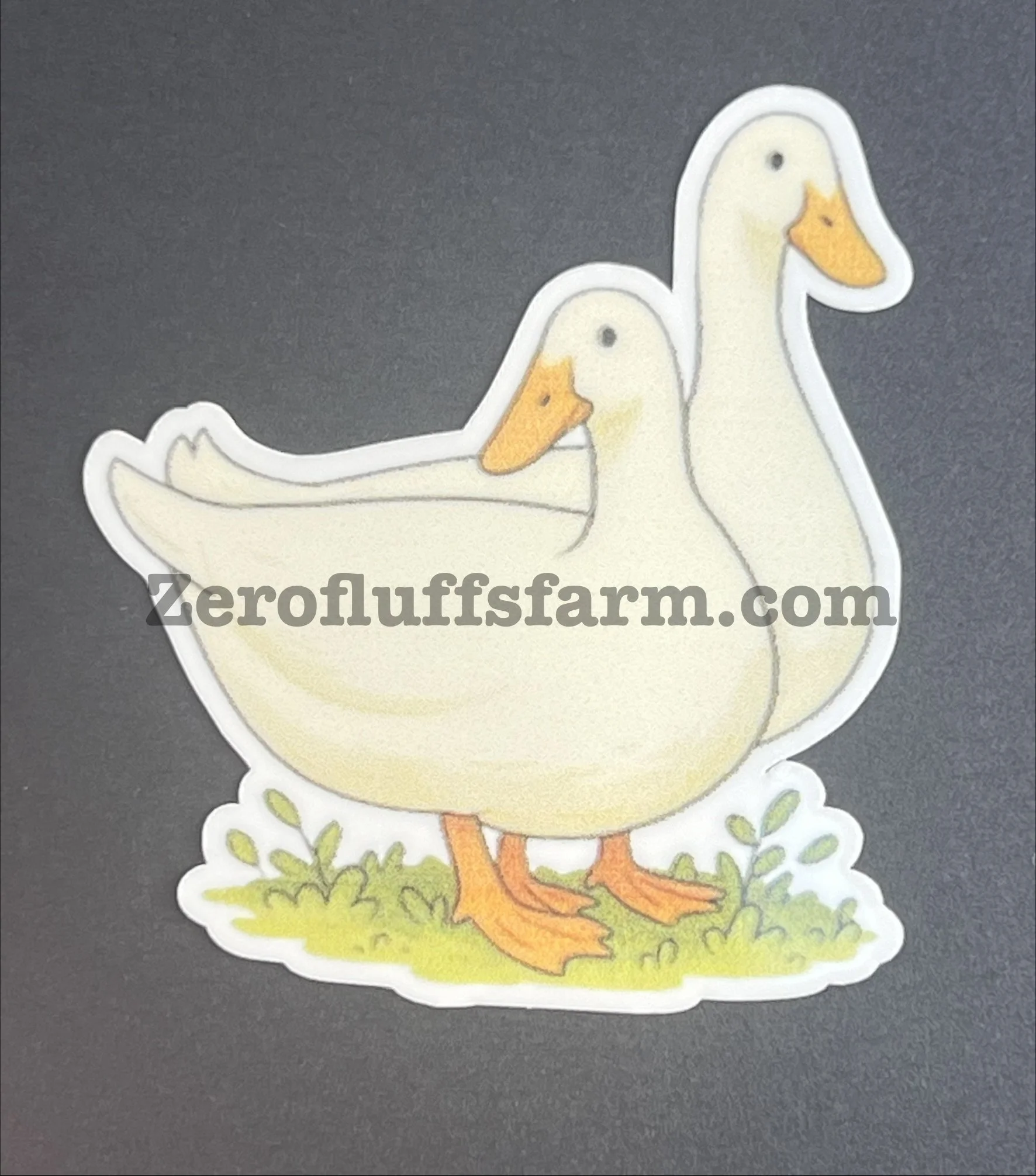 Pekin Duck Pair