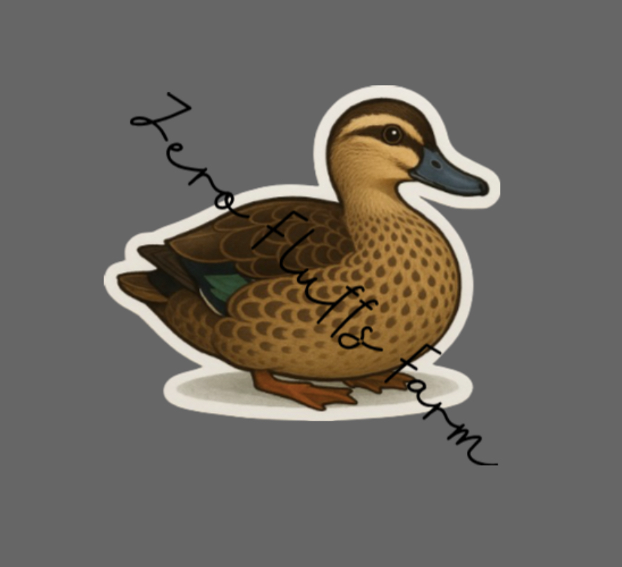 Australian Spotted Duck WM.png