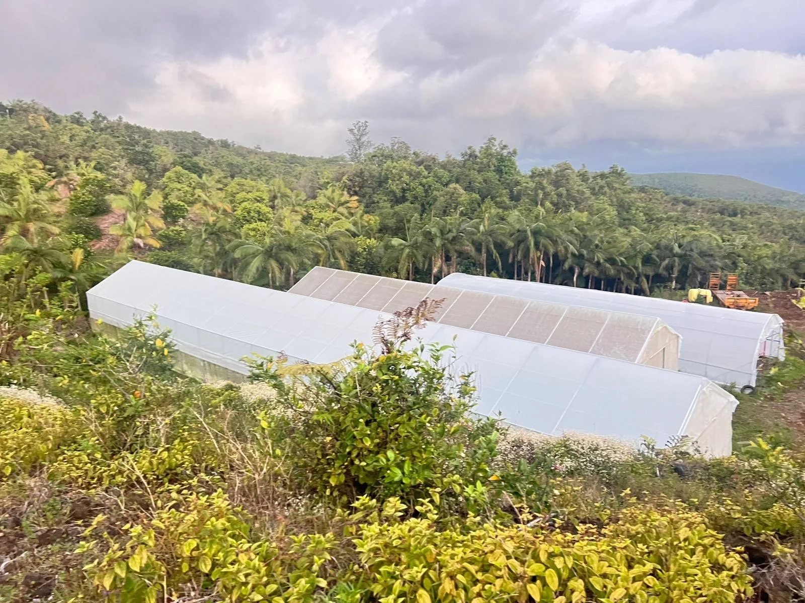 Serres blanches dans un paysage verdoyant de forêt tropicale avec des montagnes en arrière-plan et un ciel nuageux.