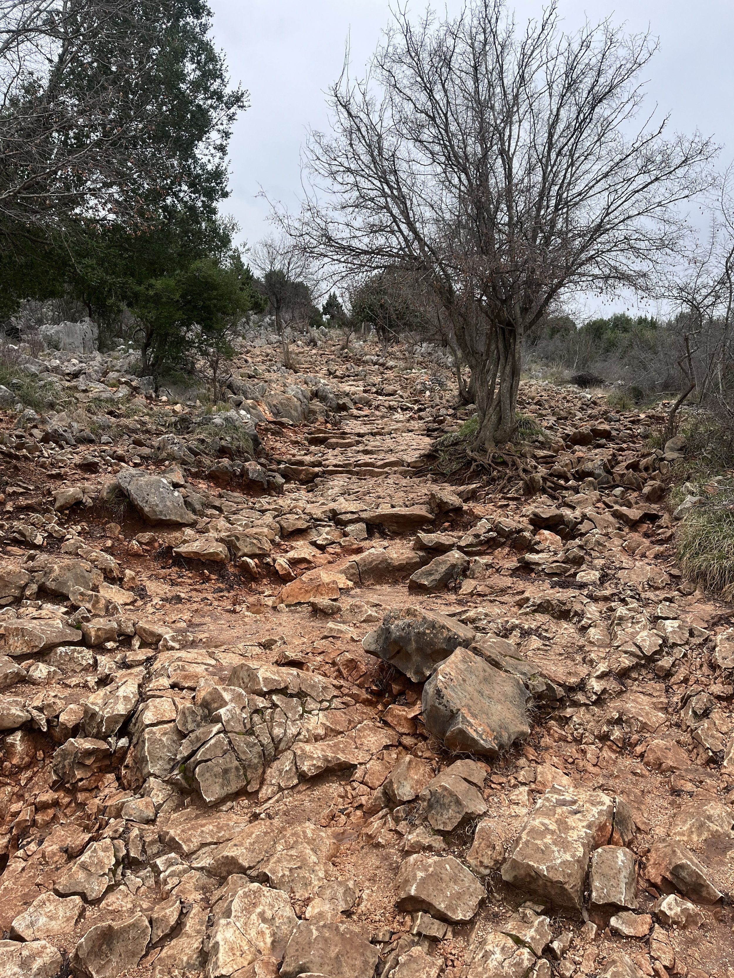 IMG_0258 – kopija.jpg