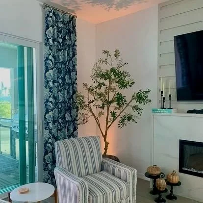 Living room with blue floral drapes, striped armchair, potted plant, and wall-mounted TV.