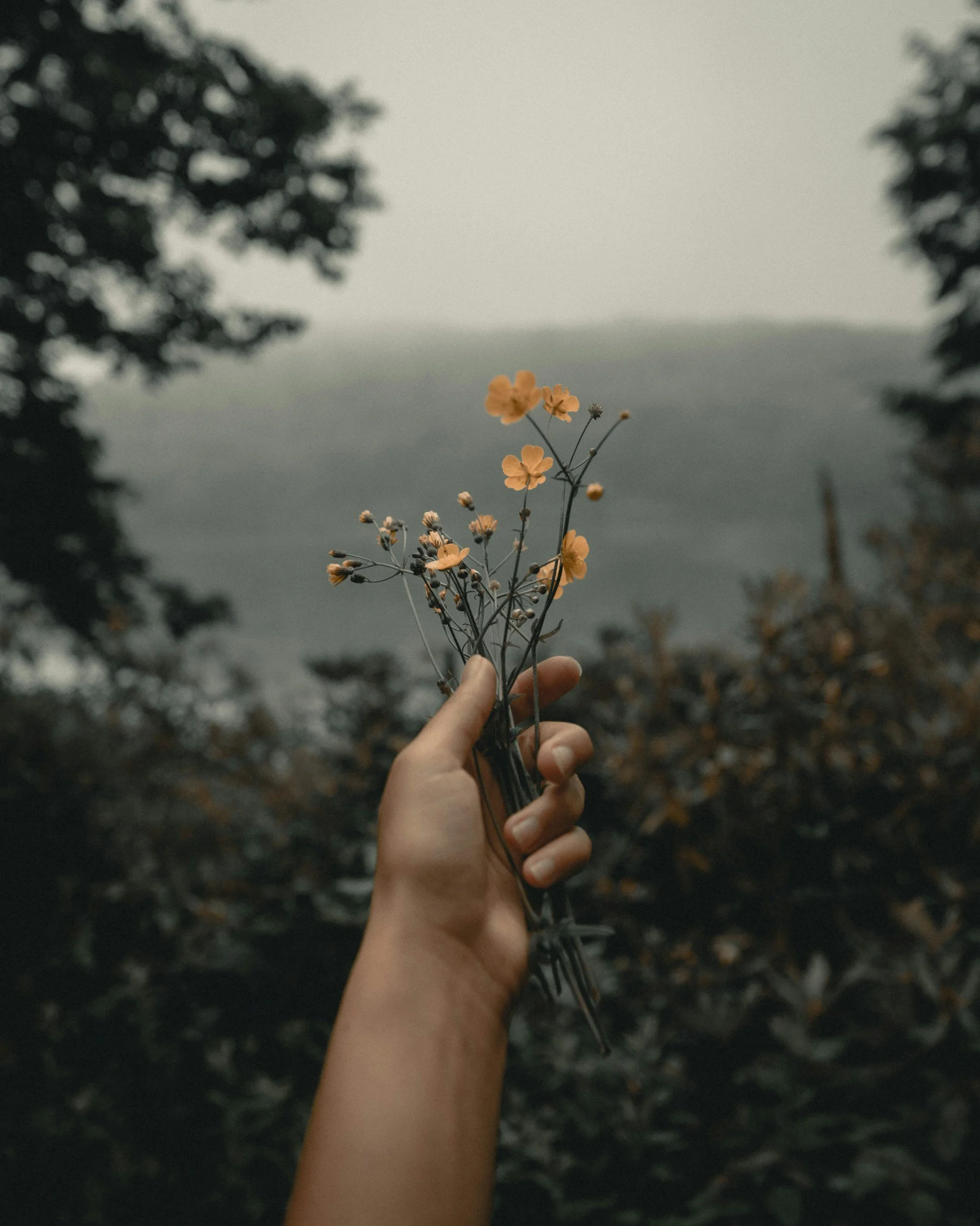 Hand holding a small bouquet of yellow flowers with a blurred natural background.