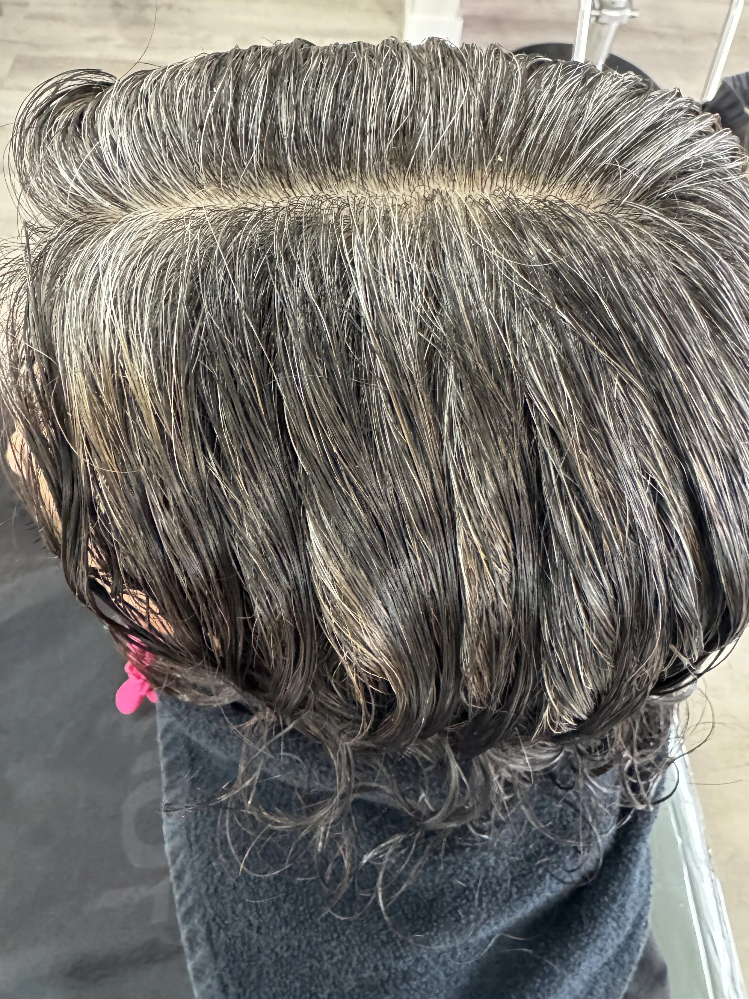 Before: Plant Root Renewal