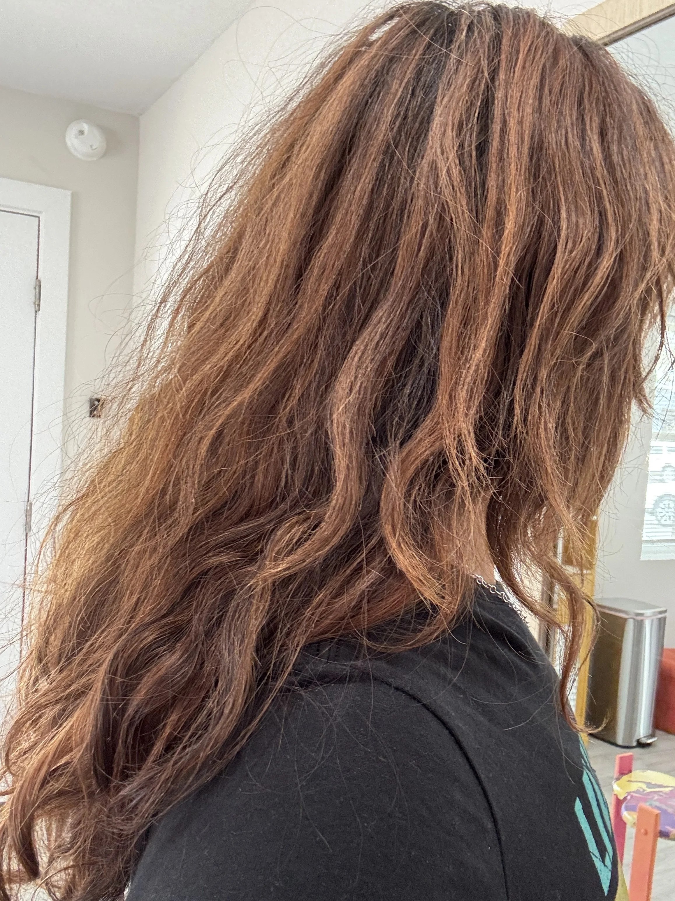 Before: Full Plant Color Transformation