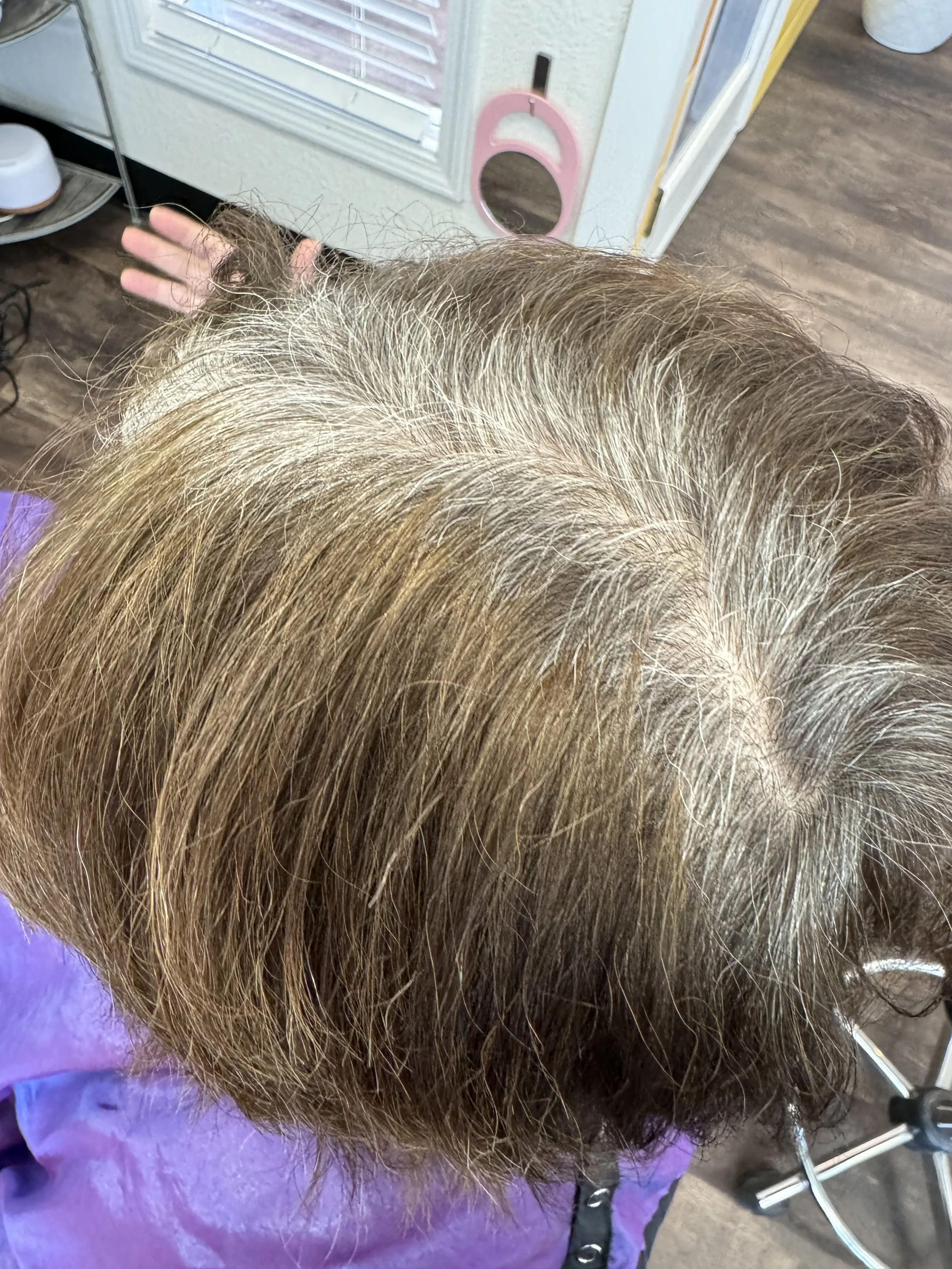 
Before: Plant Root Renewal