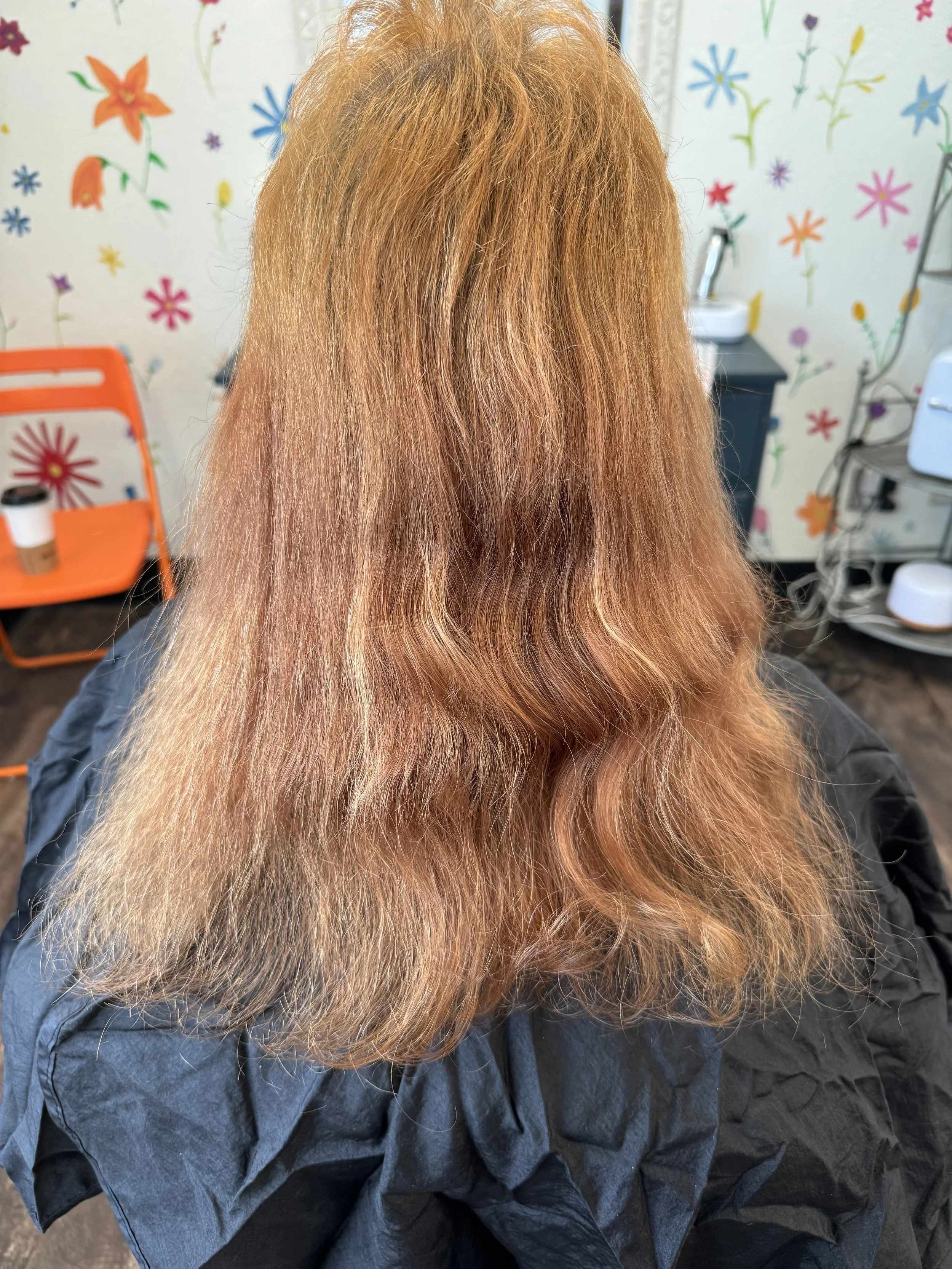 Before: Full Plant Color Transformation