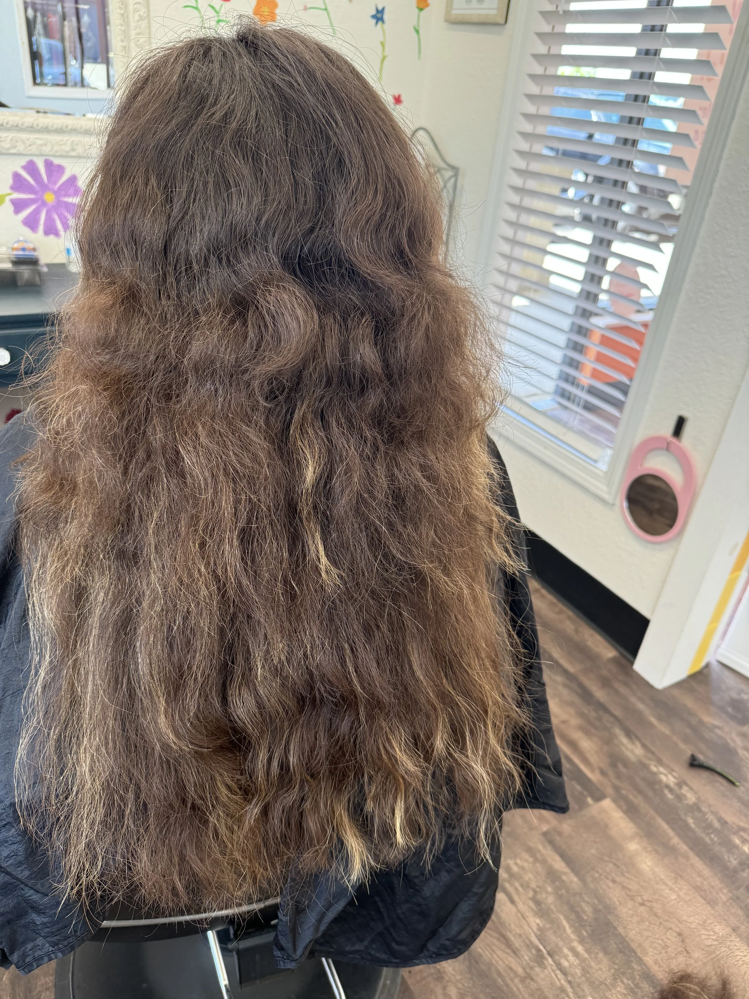 Before: Full Plant Color Transformation