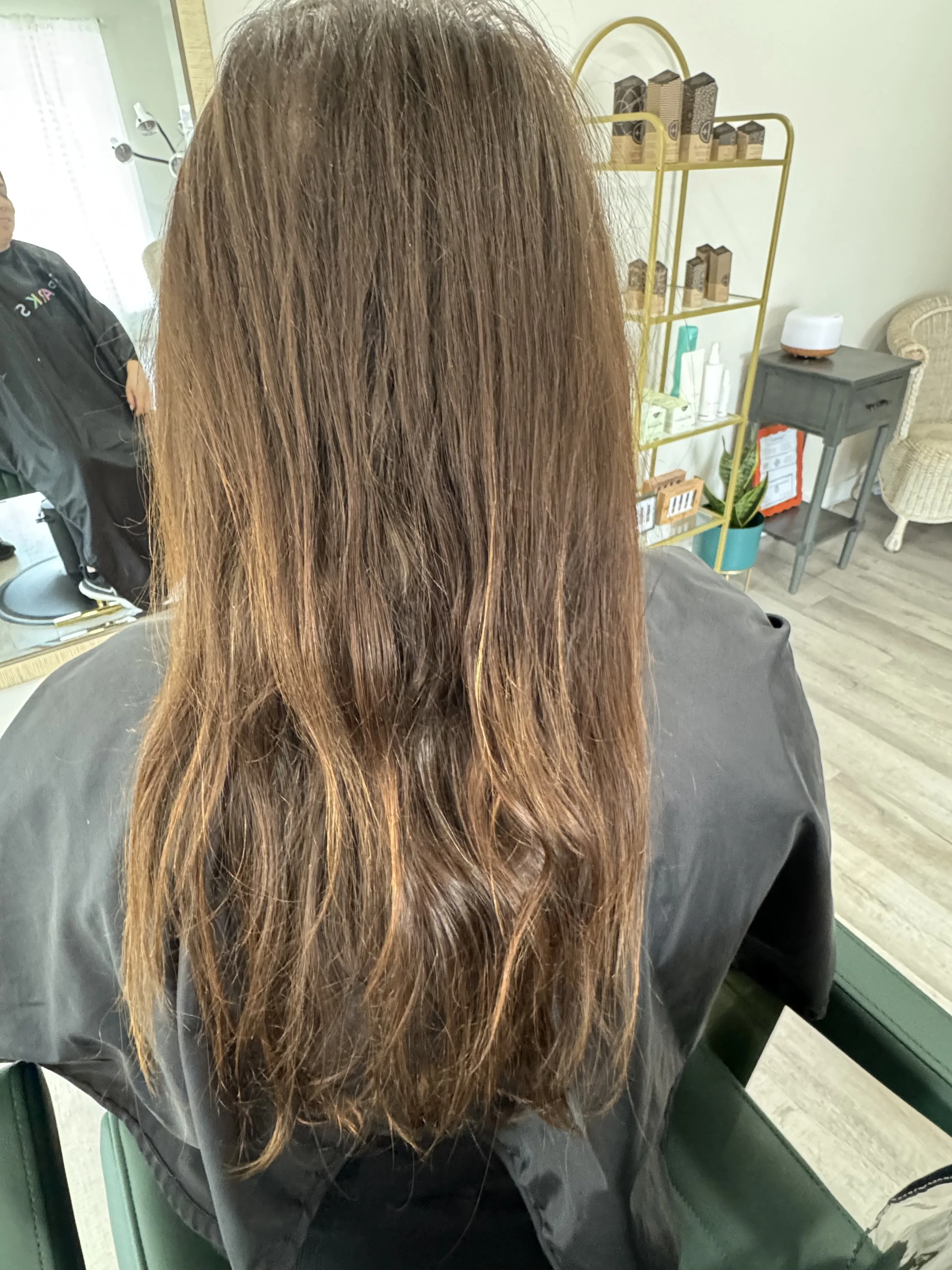 Before: Full Plant Color Transformation