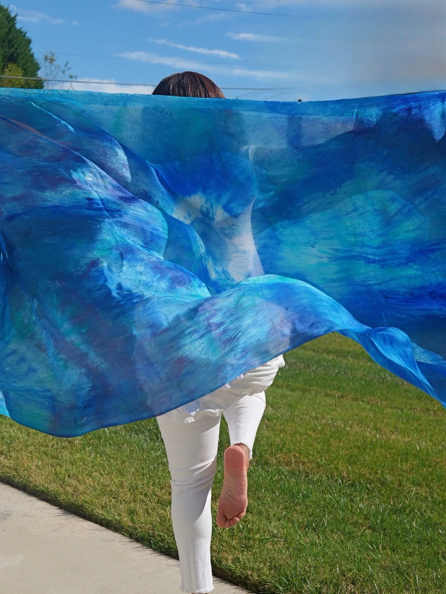The Voice Upon Many Waters Silk Worship Veil , available for purchase now at www.beyondtheveilministries.com LINK IN BIO

#silkveil #worshipveil #propheticministry #propheticart #propheticflags #beyondtheveilministries