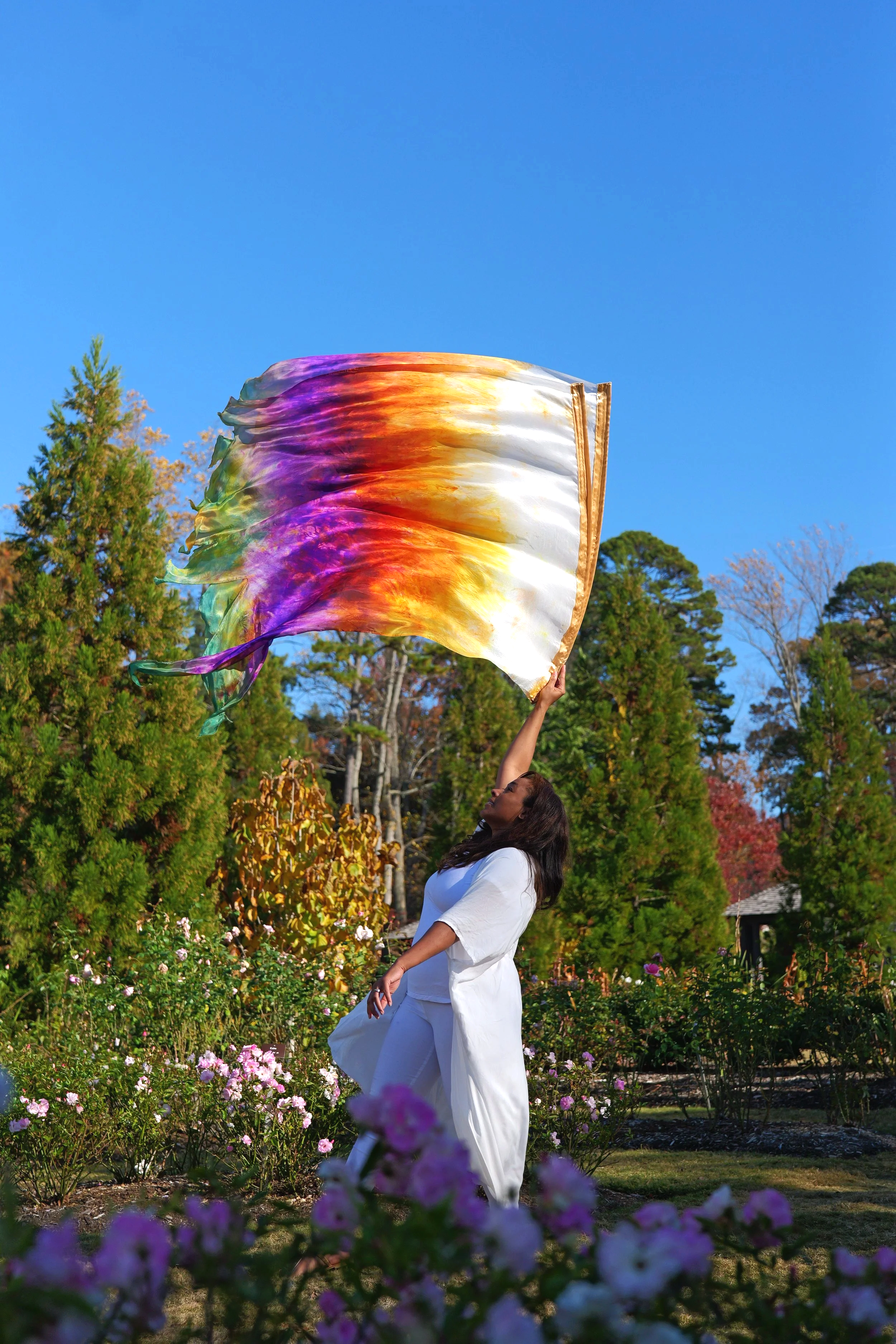 His Light Has Come Angel Wing Worship Flags. His Morning Glory Collection,  Isaiah 60:1-3.