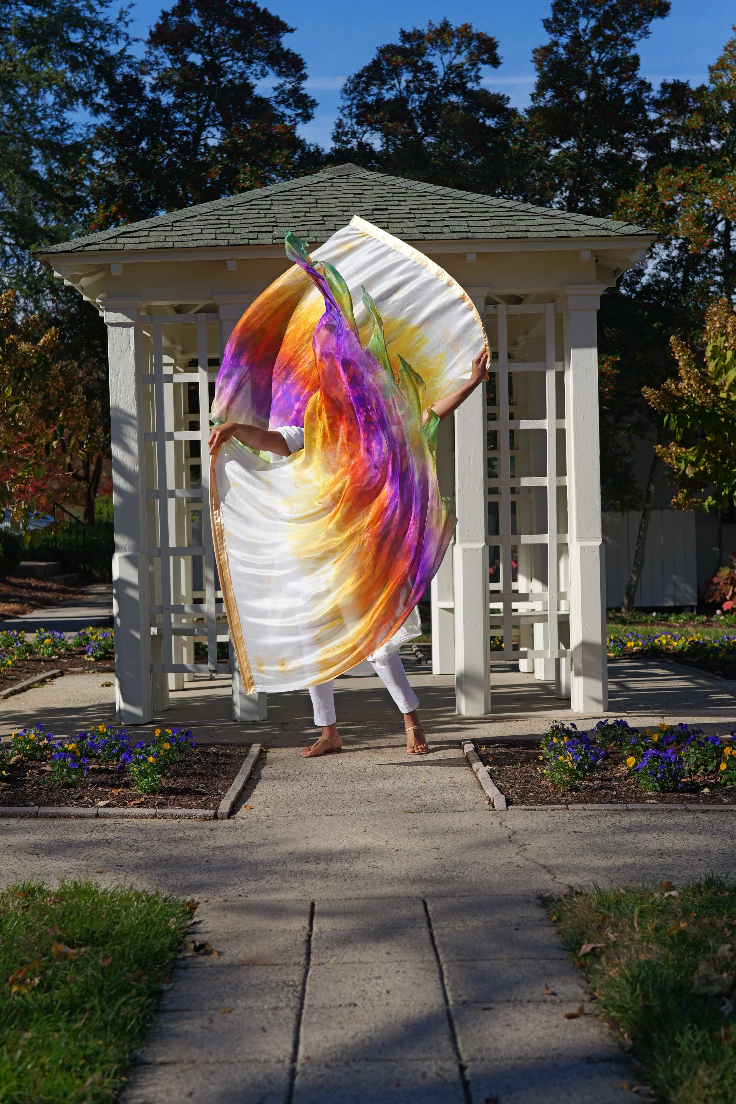 His Light Has Come Angel Wing Worship Flags, ,His Morning Glory Collection, Isaiah 60:1-3