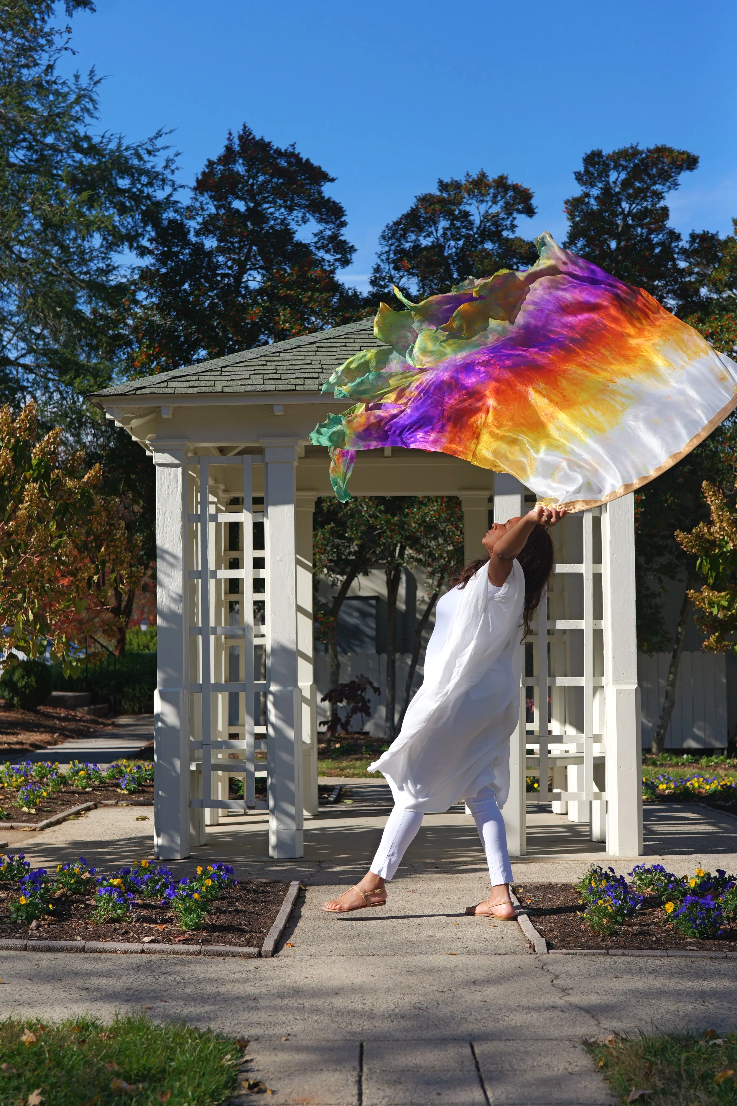 His Light Has Come Angel Wing Worship Flags, ,His Morning Glory Collection, Isaiah 60:1-3