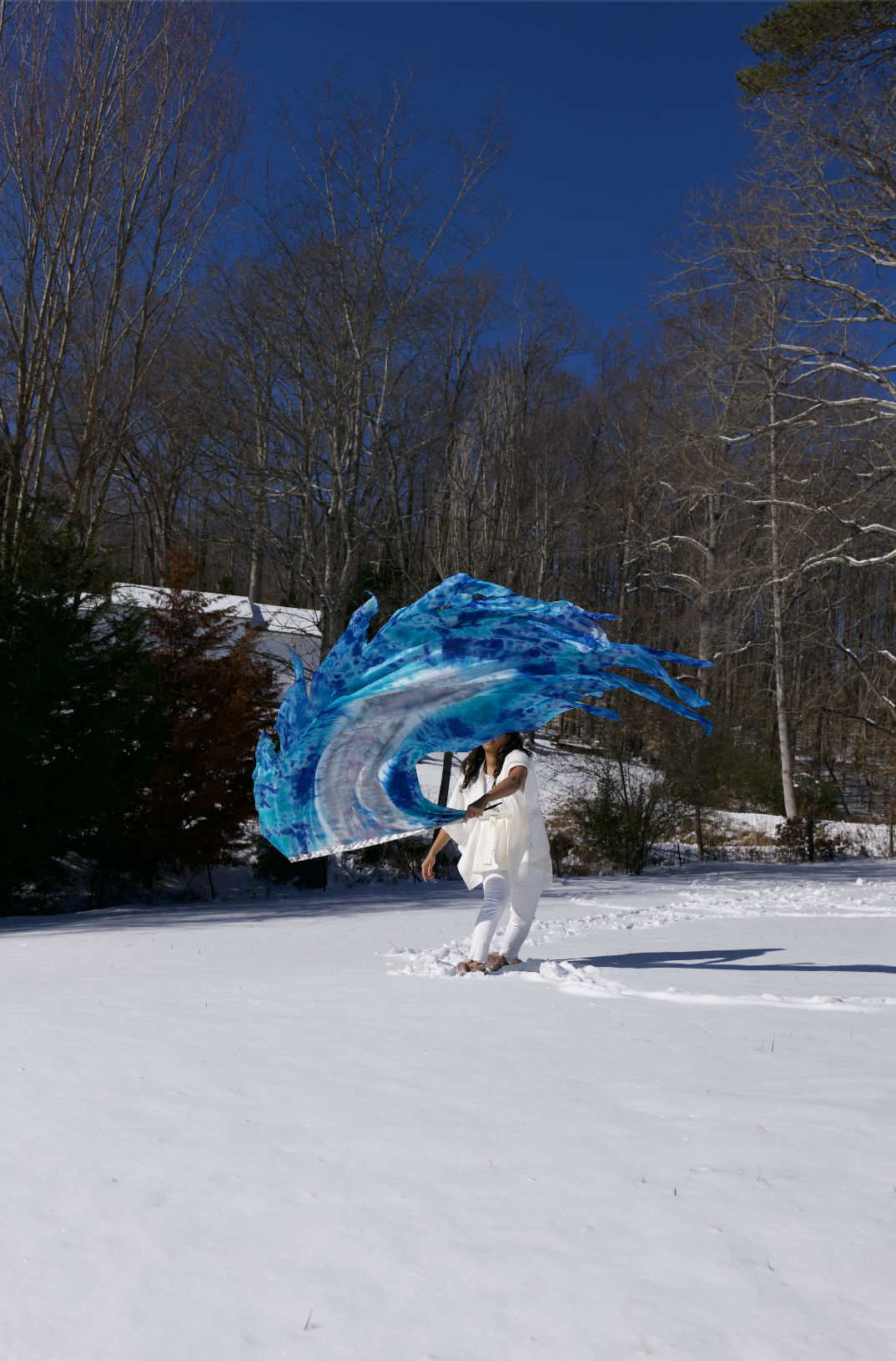 Screenshot 2026-02-01 at 6.00.54 PM.png