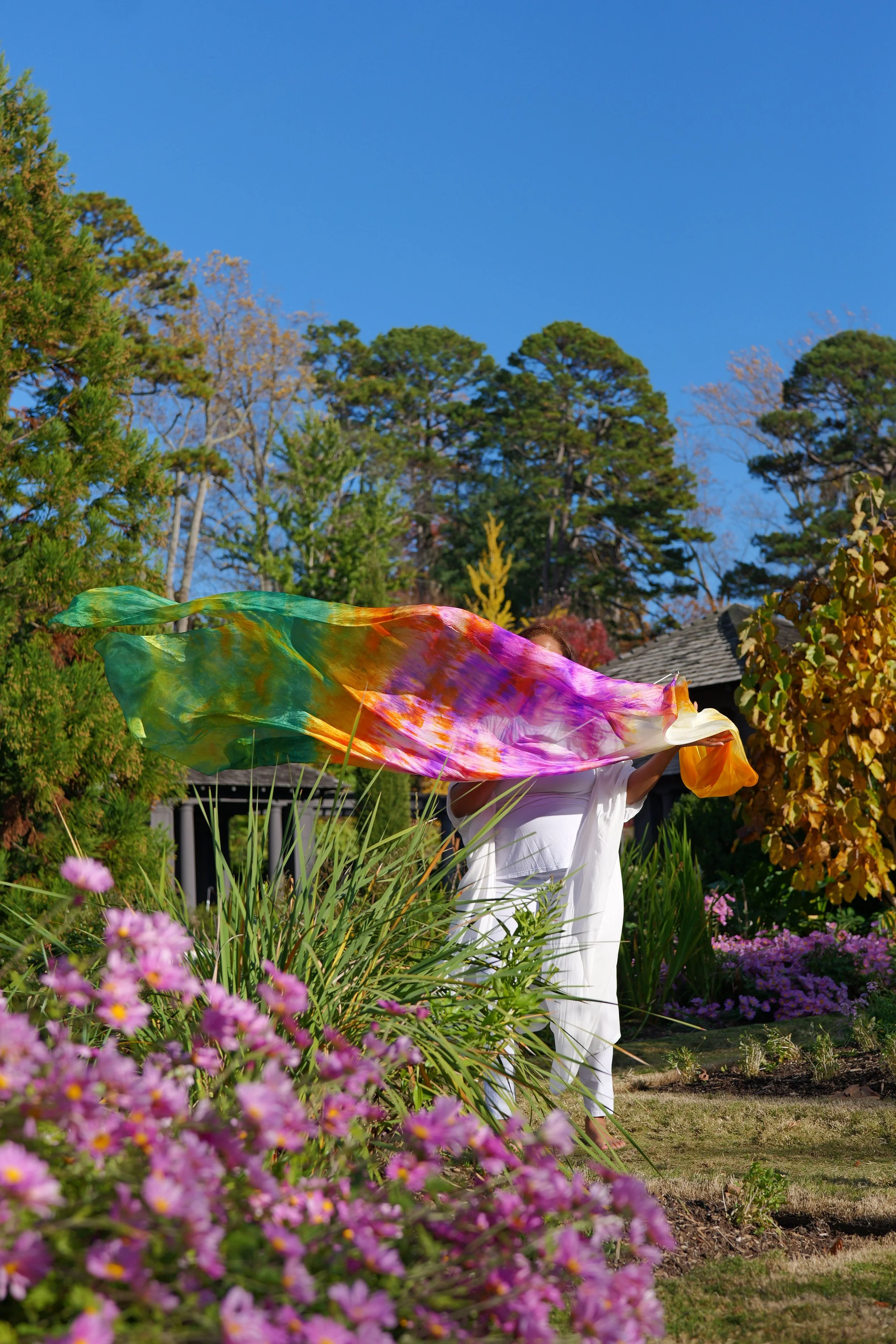 His Morning Glory Streamers, ,His Morning Glory Collection, Isaiah 60:1-3