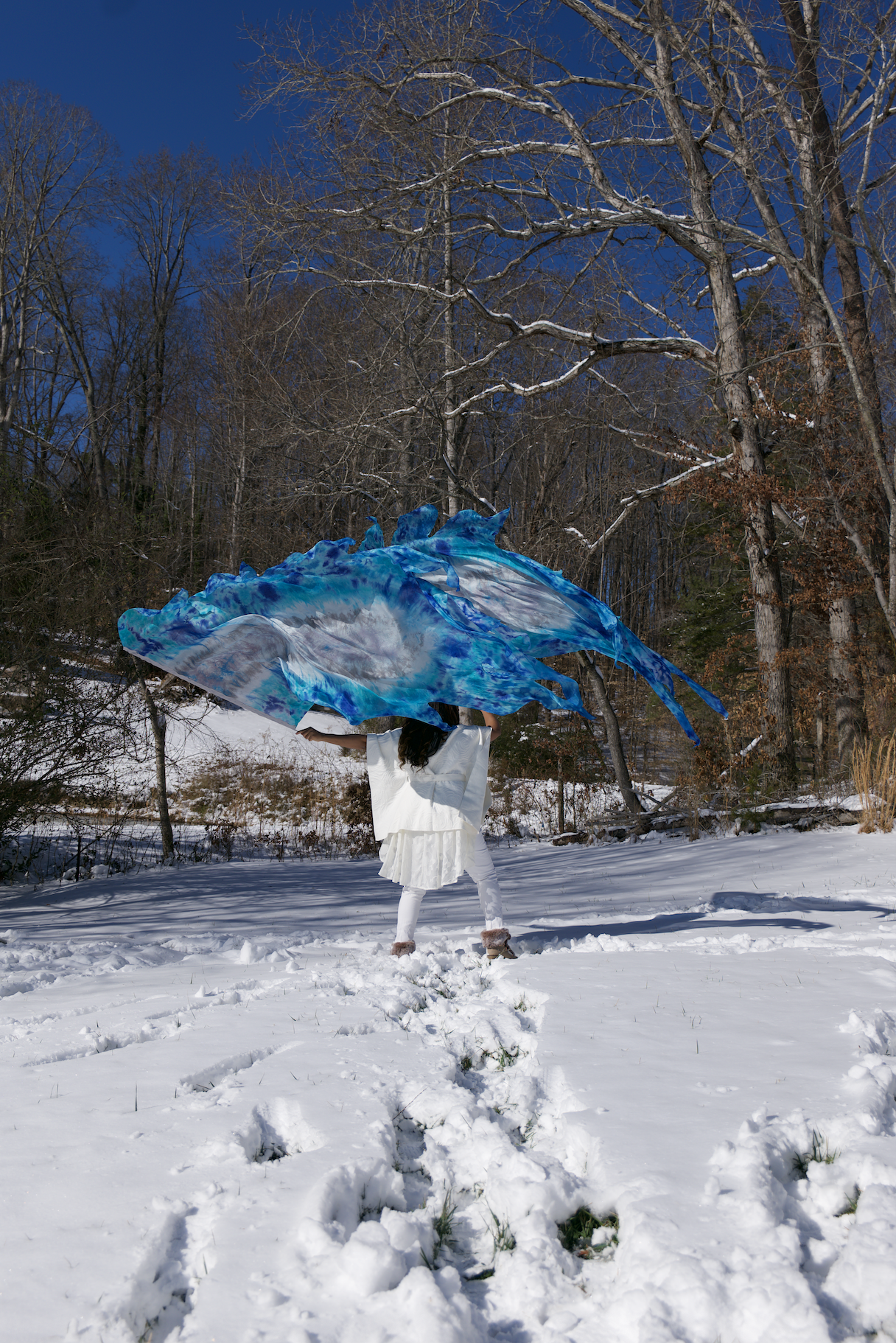 Screenshot 2026-02-01 at 7.51.46 PM.png