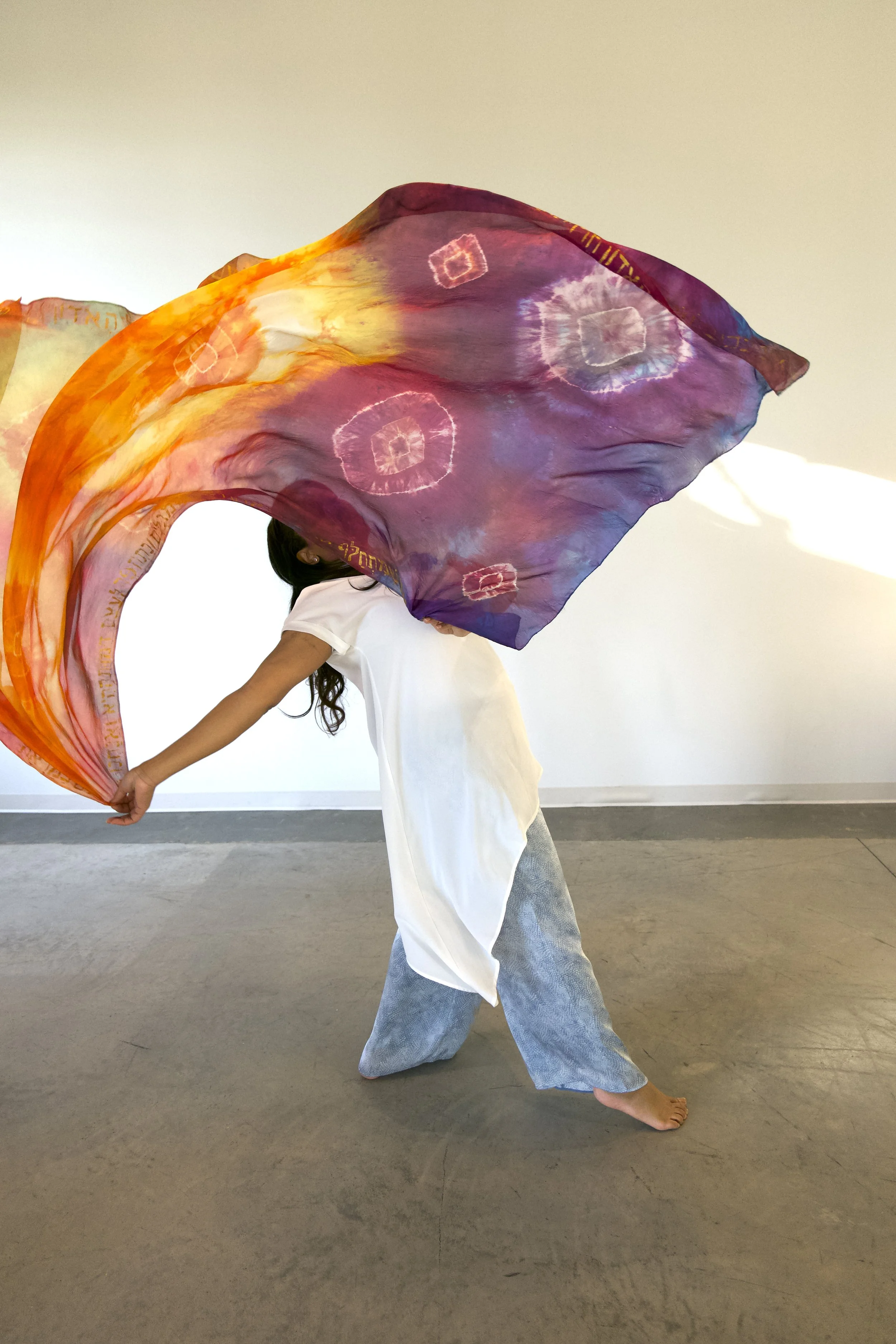 Beyond the Veil (Prophetic Worship Veil)