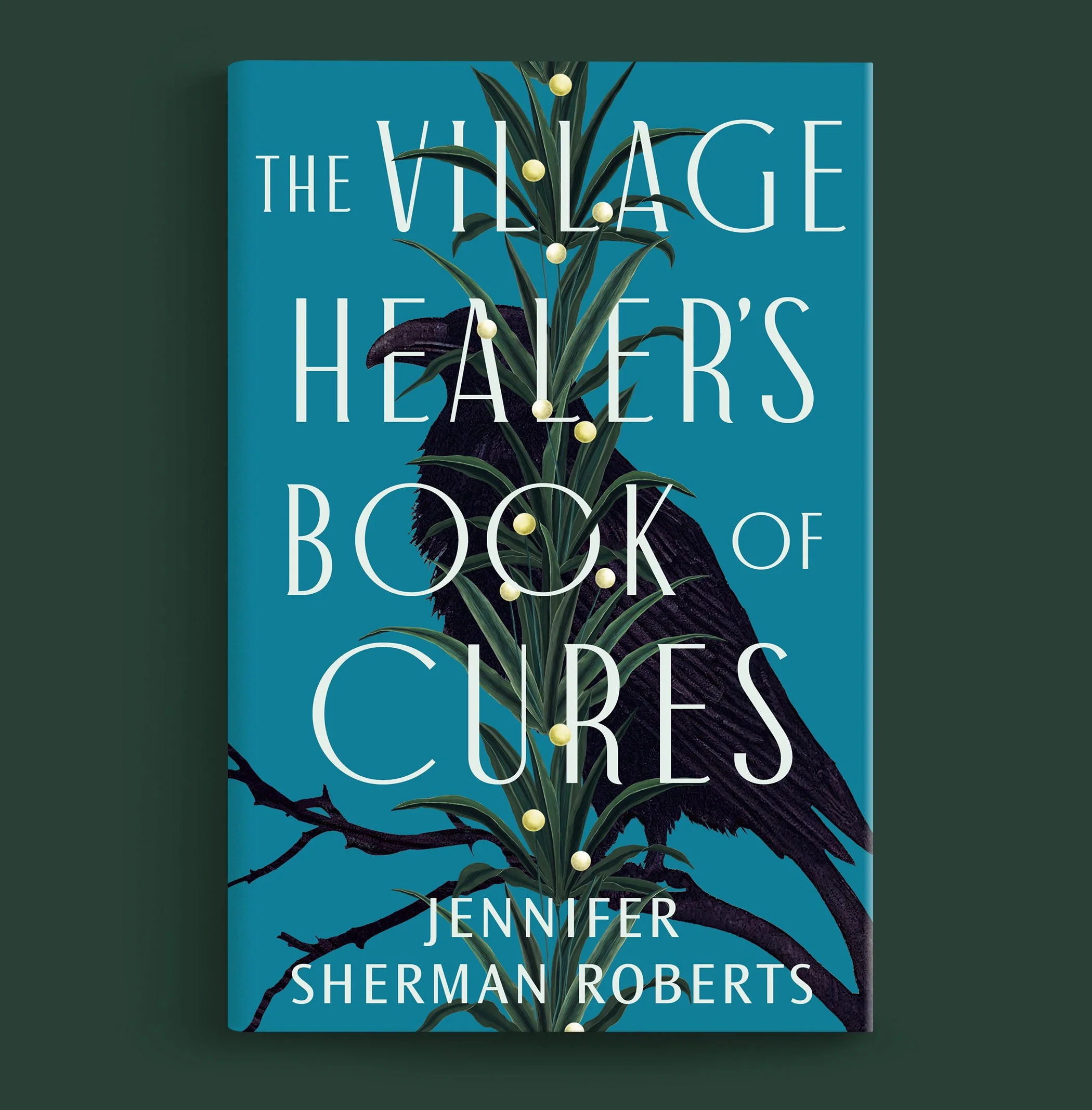 The Village Healer's Book of Cures