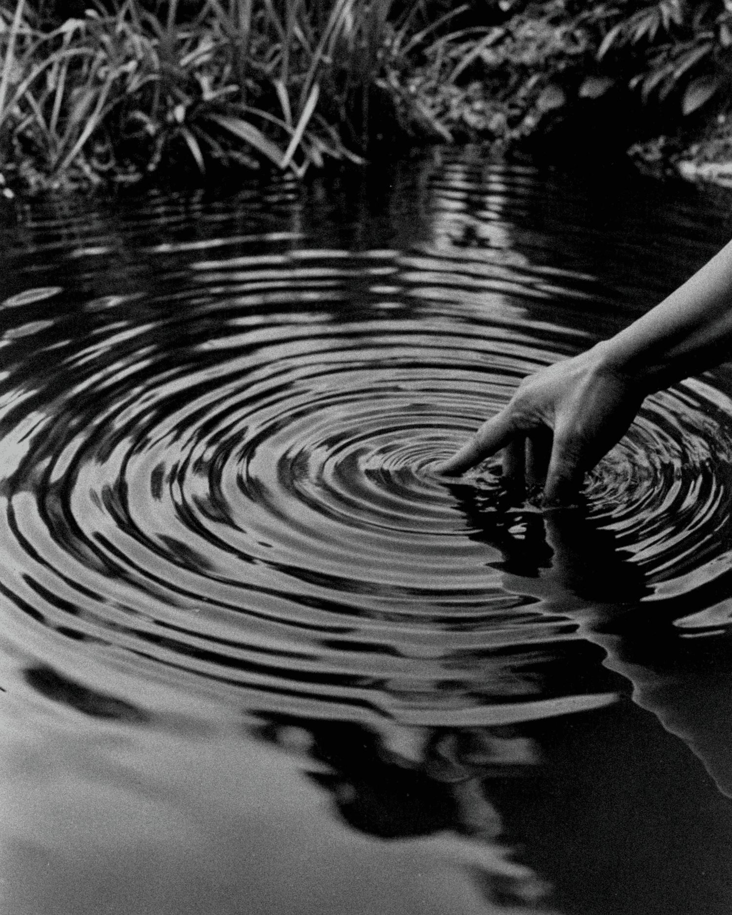 The Ritual Well