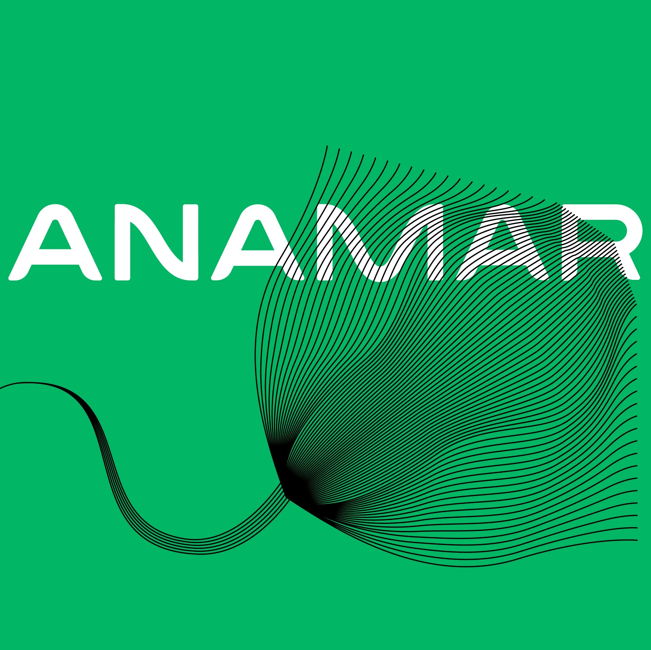 ANAMAR-Social-Brand Rollout_3.jpg