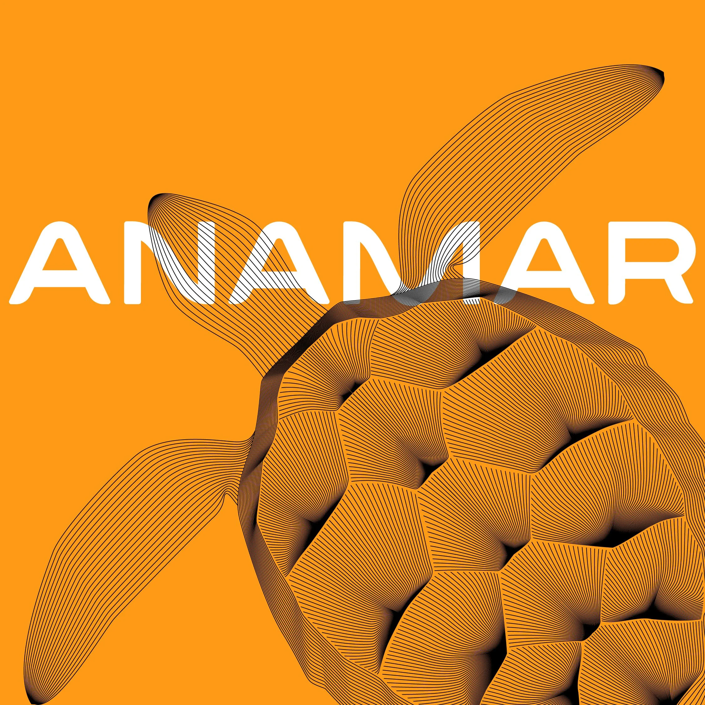 ANAMAR-Social-Brand Rollout_3 copy.jpg