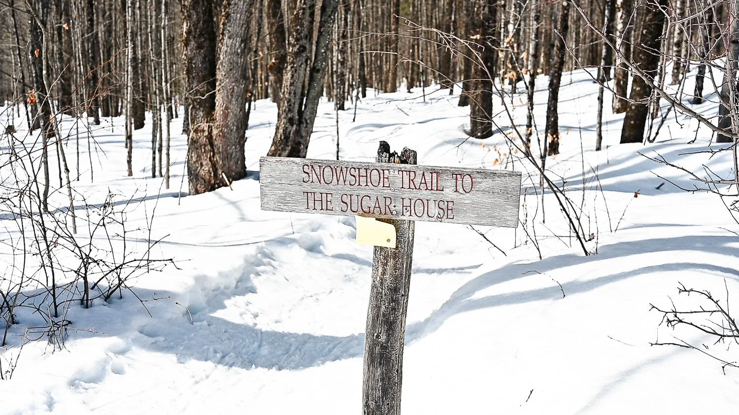 Snowshoe Trail to the Sugar House