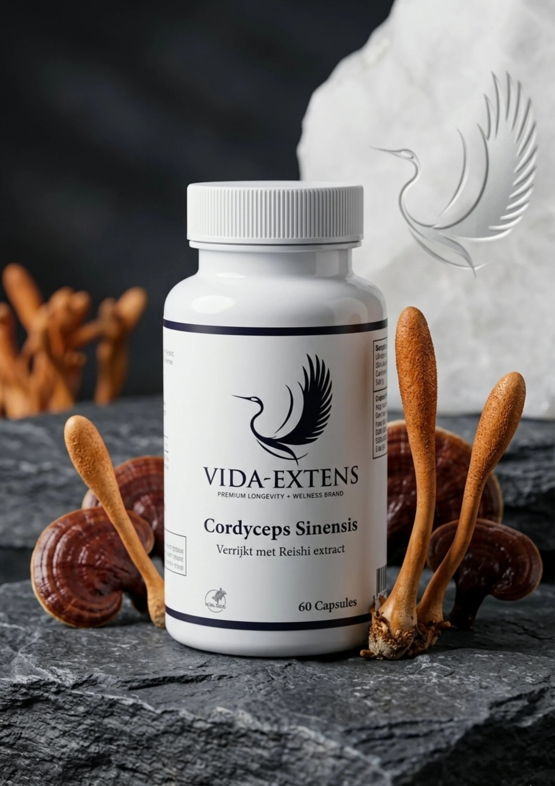 Cordyceps Sinesis