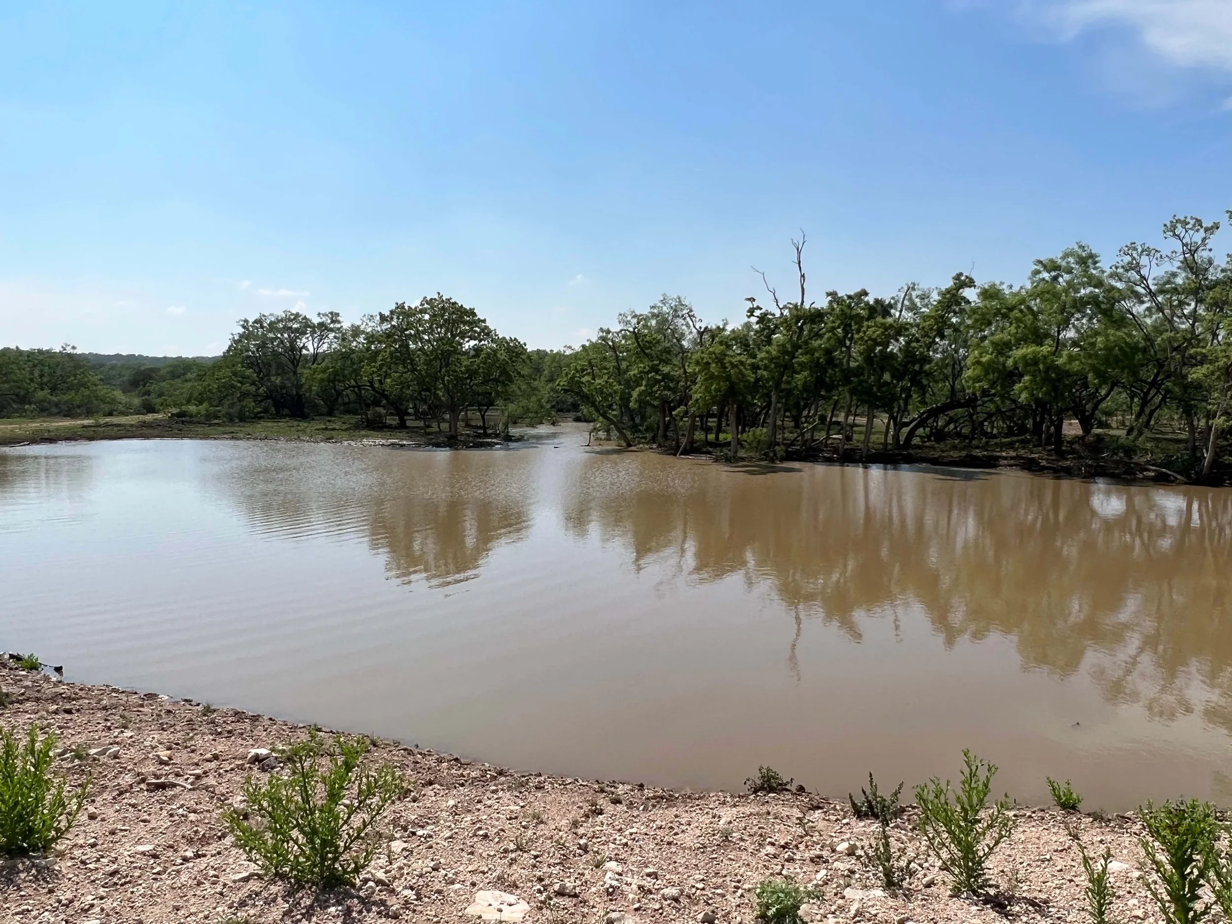 SAN ANGELO POND BUILD