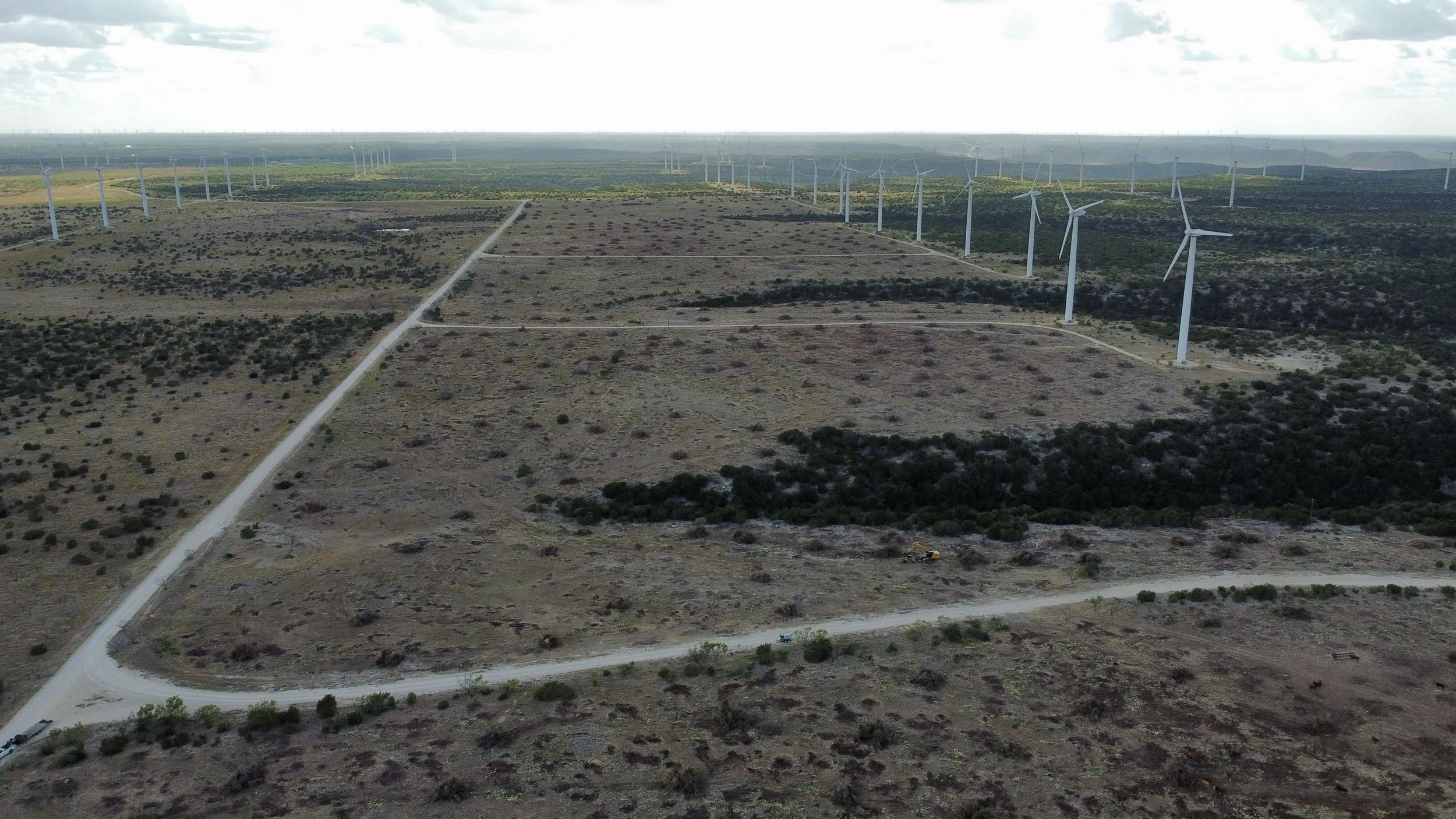 WINDROWS RAKED INTO BURN PILES