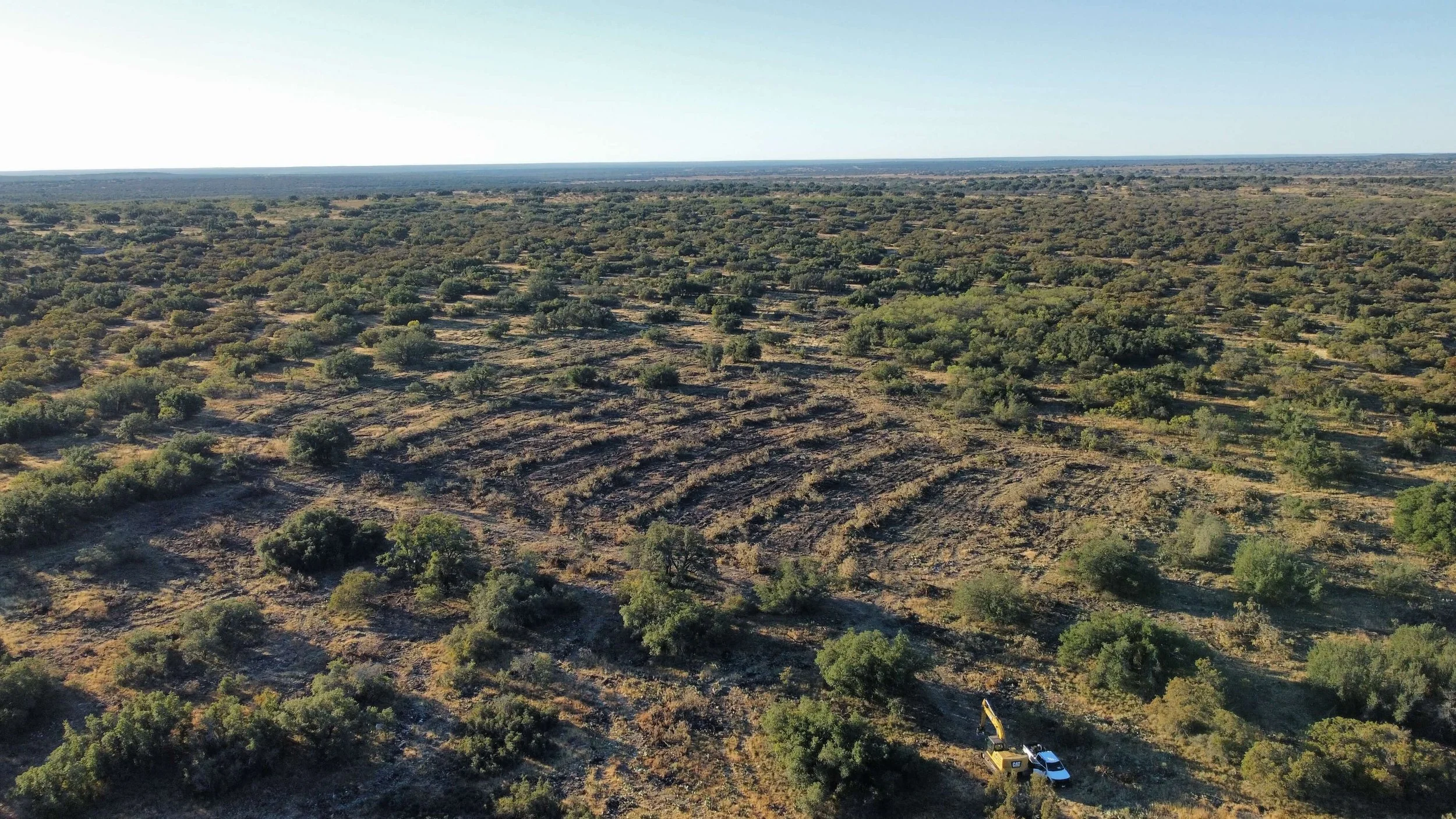 MESQUITE GRUBBING AFTER