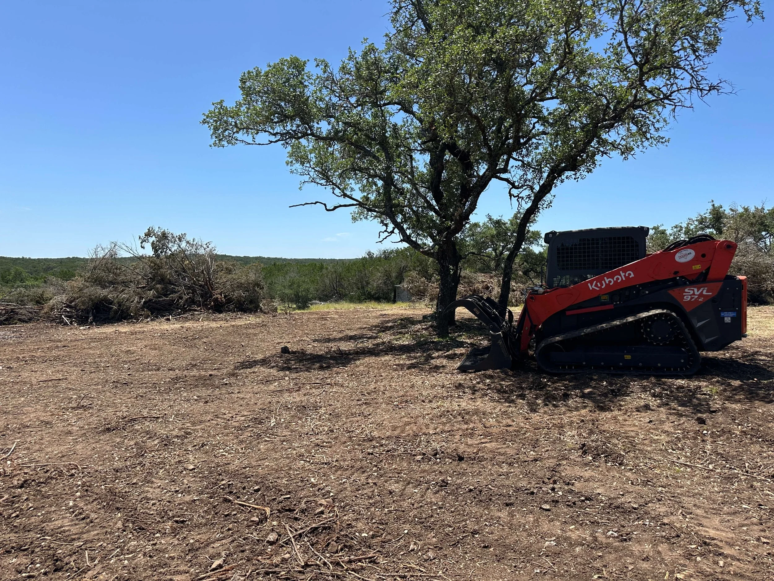 CEDAR REMOVAL FOR FUTURE HOMESITE