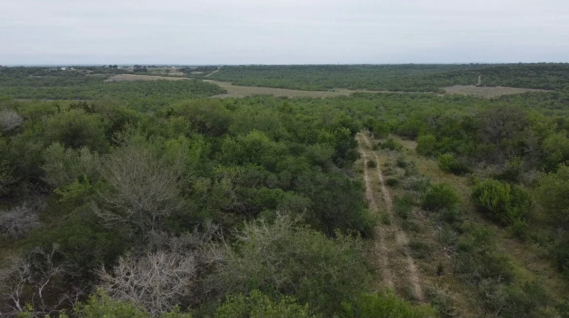 FENCE LINE CLEARING BEFORE