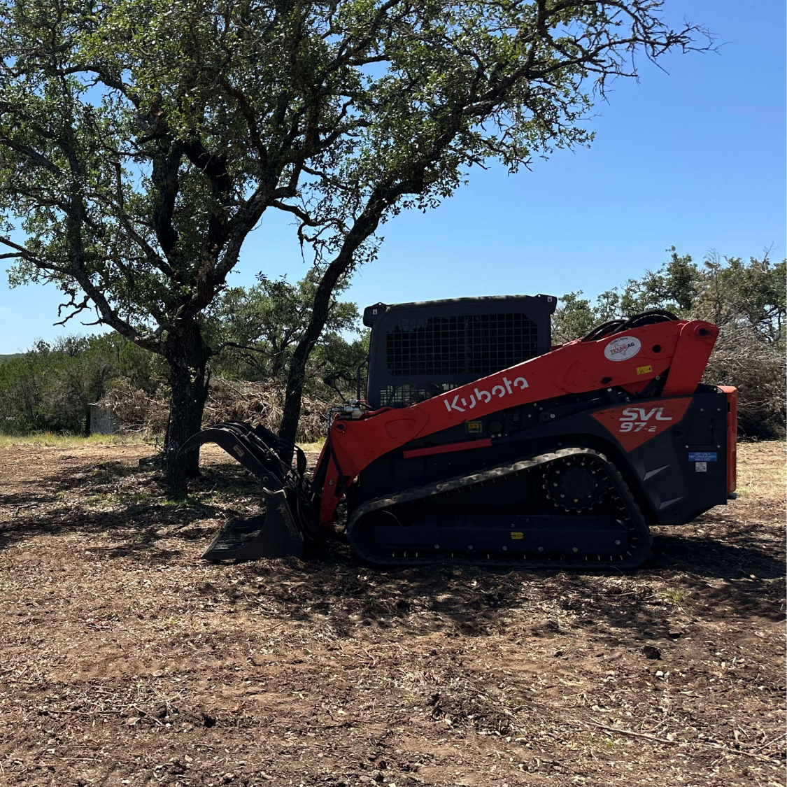 Mesquite Removal