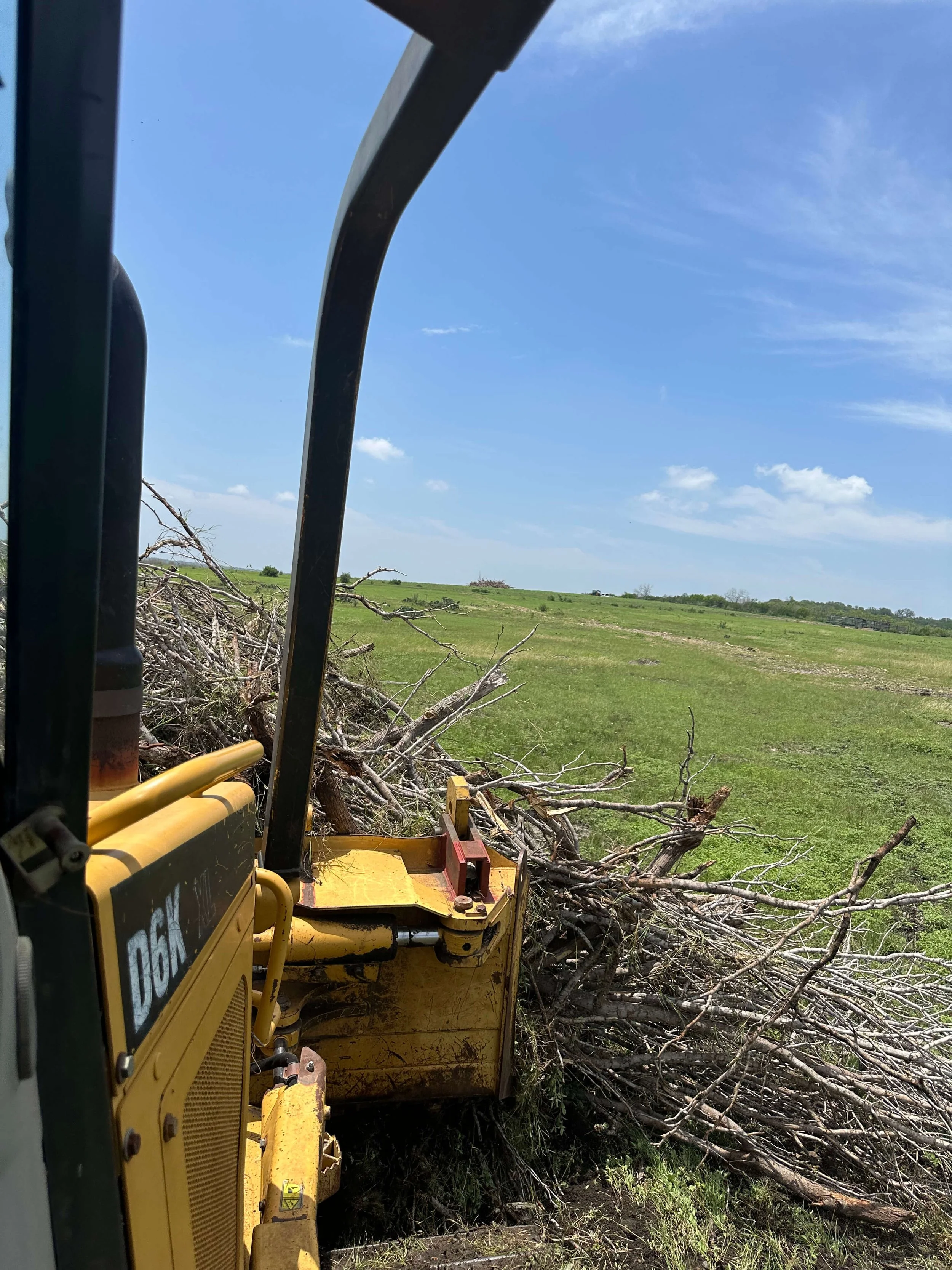 RAKING DEAD MESQUITES