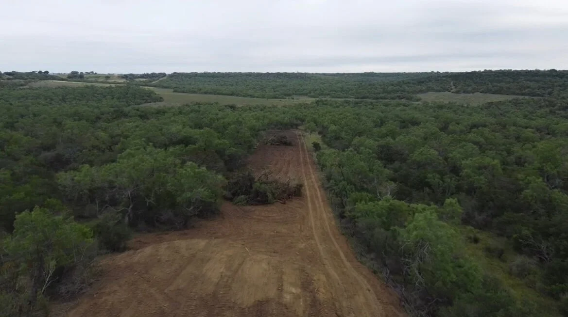 FENCE LINE CLEARING AFTER