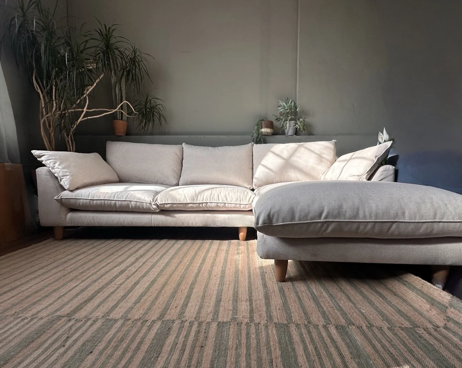 IMG_2267.jpeg