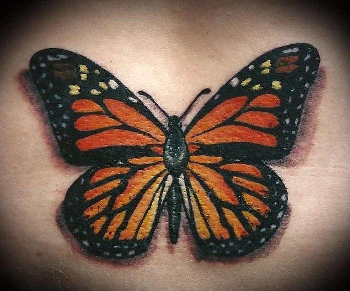 Butterflies, butterflies, butterflies!!!!

#butterflytattoo ##mntattooartist #mntattooers #duluthtattooartist #duluthtattooshop