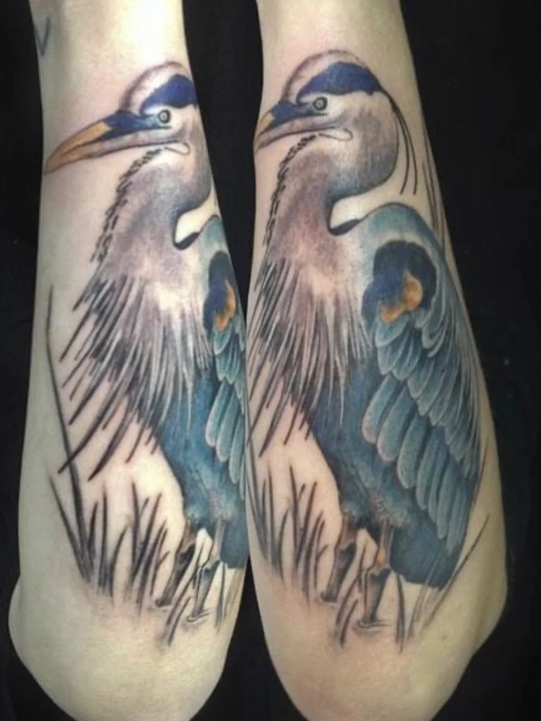 I could tattoo birds everyday!!

#blueheron #herontattoo #birdtattoo #colortattoo #mntattooartist #mntattooers #duluthtattooartist #duluthtattooshop