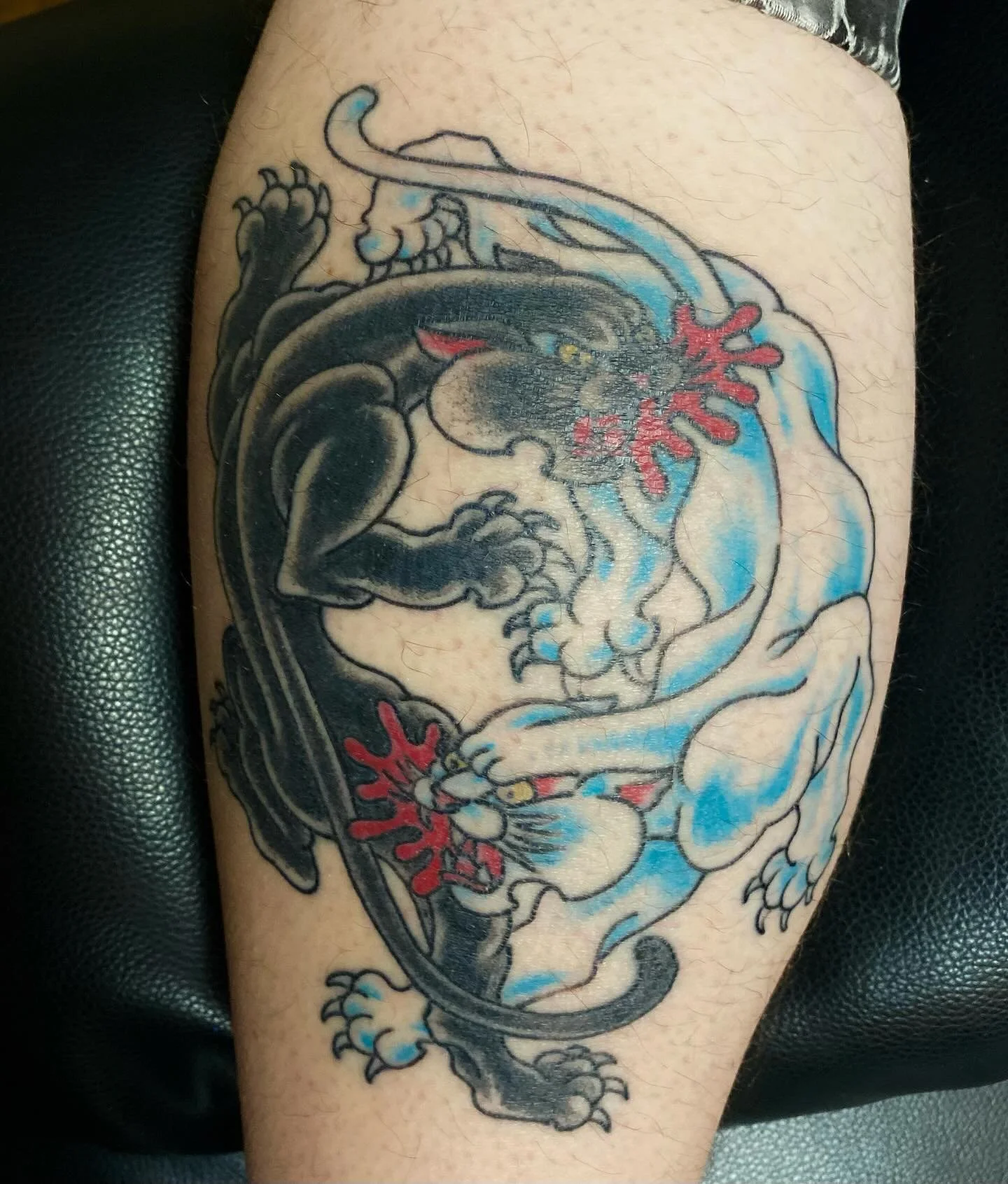 Healed Ying yang kitties!  Booking for October. For appts Call or text (218)-260-6118.  Email  jeremiahmfktattoos@gmail.com

#panthertattoos #cattattoos #traditionaltattoos #oldschooltattooflash #duluthtattooartist #minnesotatattooartist #duluthsfine