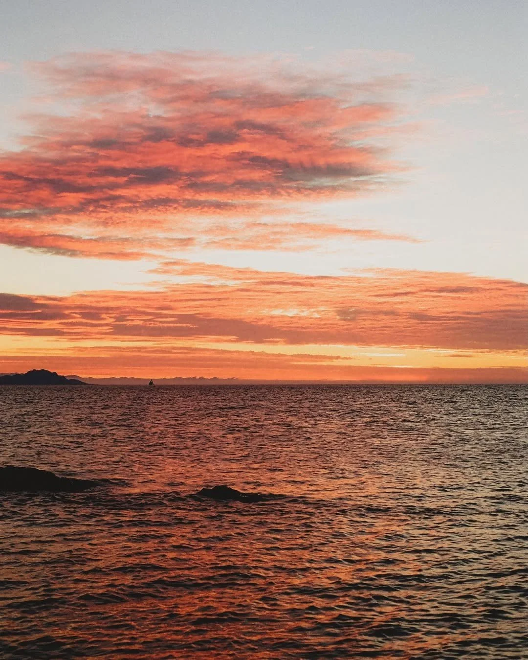marseille3.jpeg