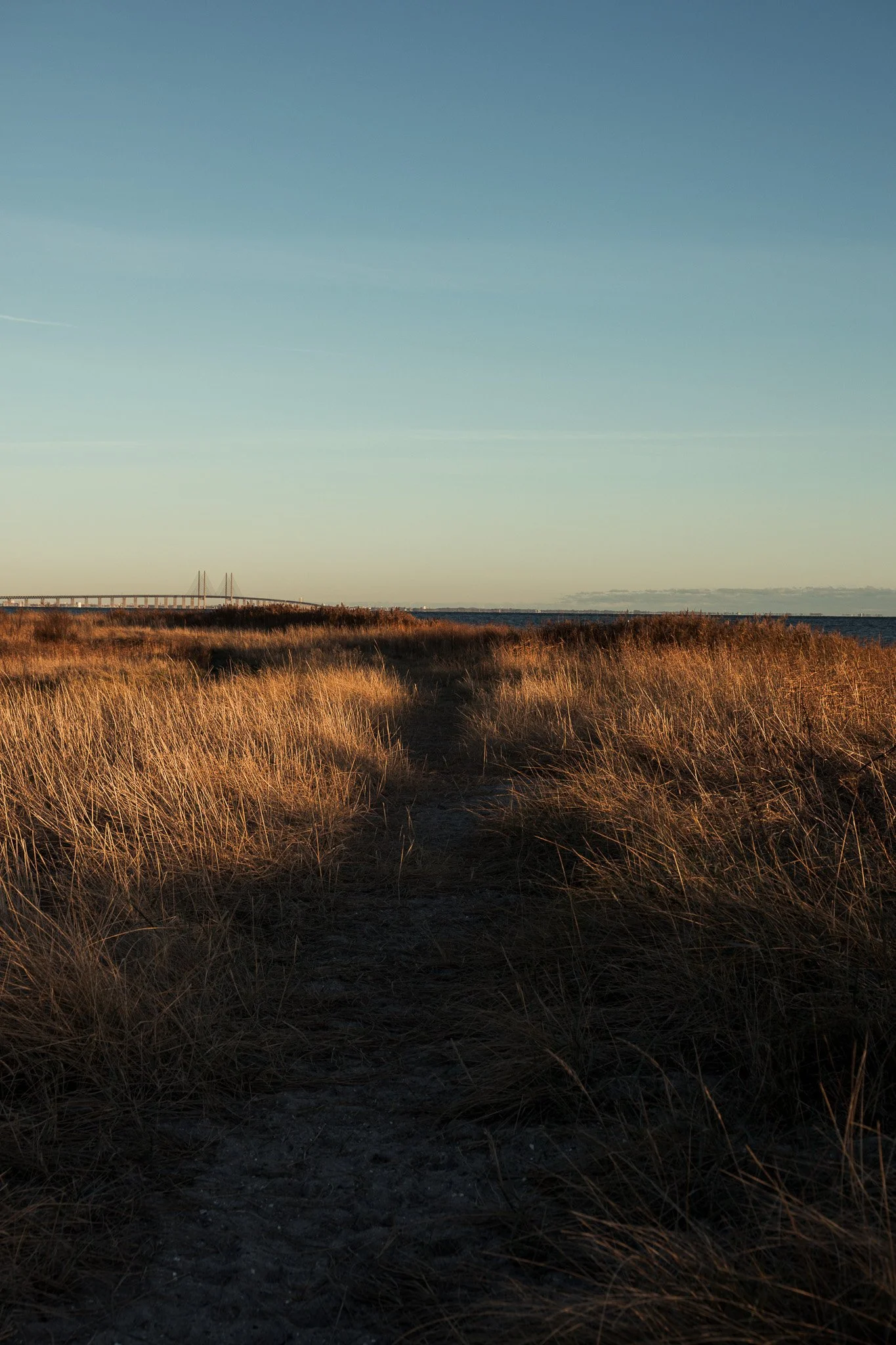 Amarmino_2025_santerijusslin web-2.jpg